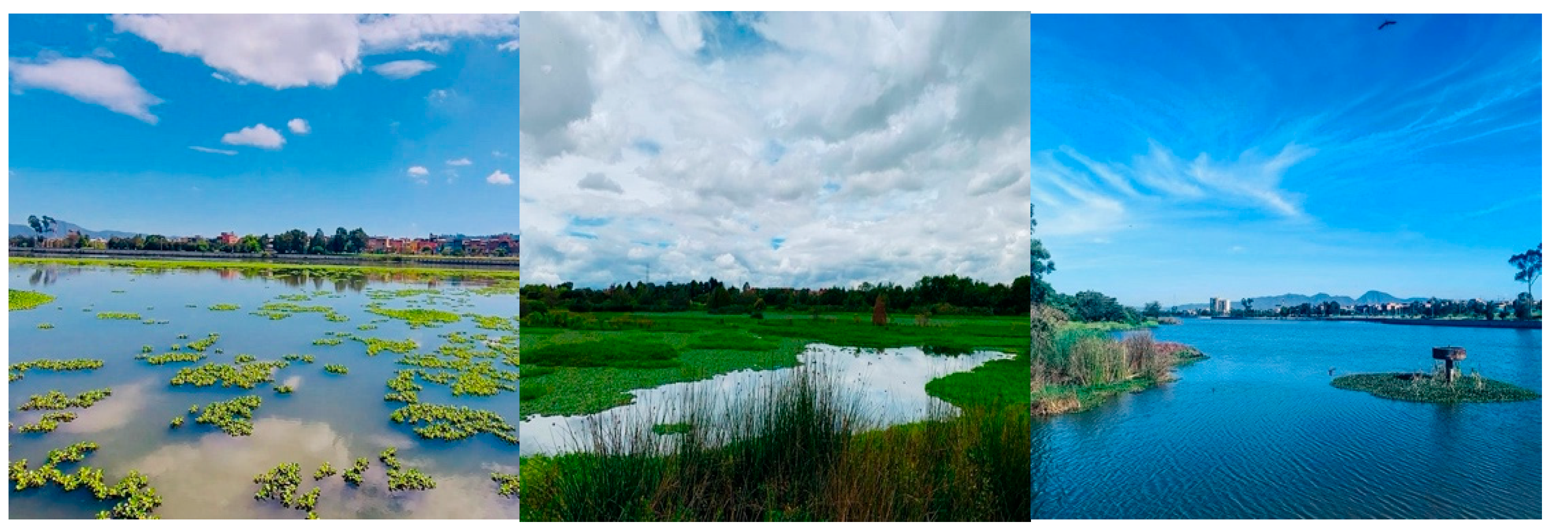 Sustainability 17 09716 g003