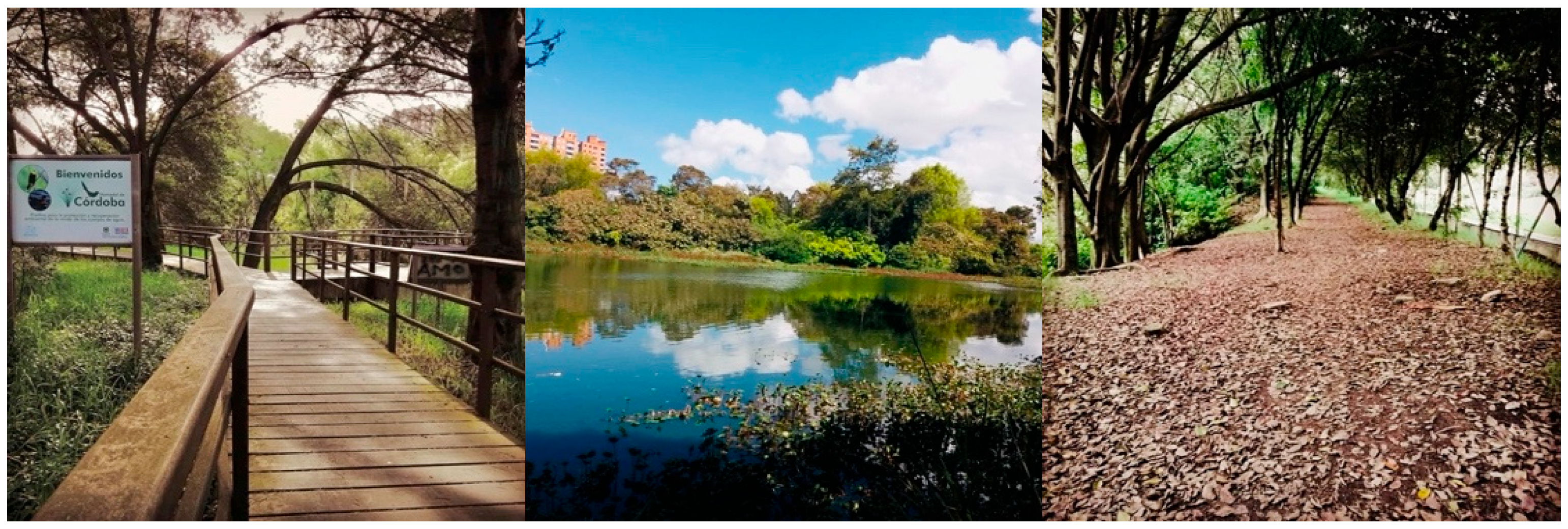 Sustainability 17 09716 g004