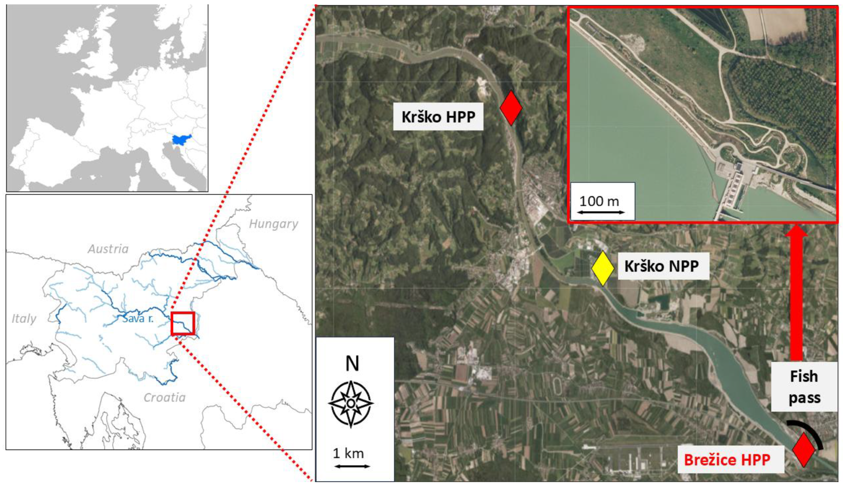 Sustainability 17 09730 g001 Sustainability 17 09730 g001