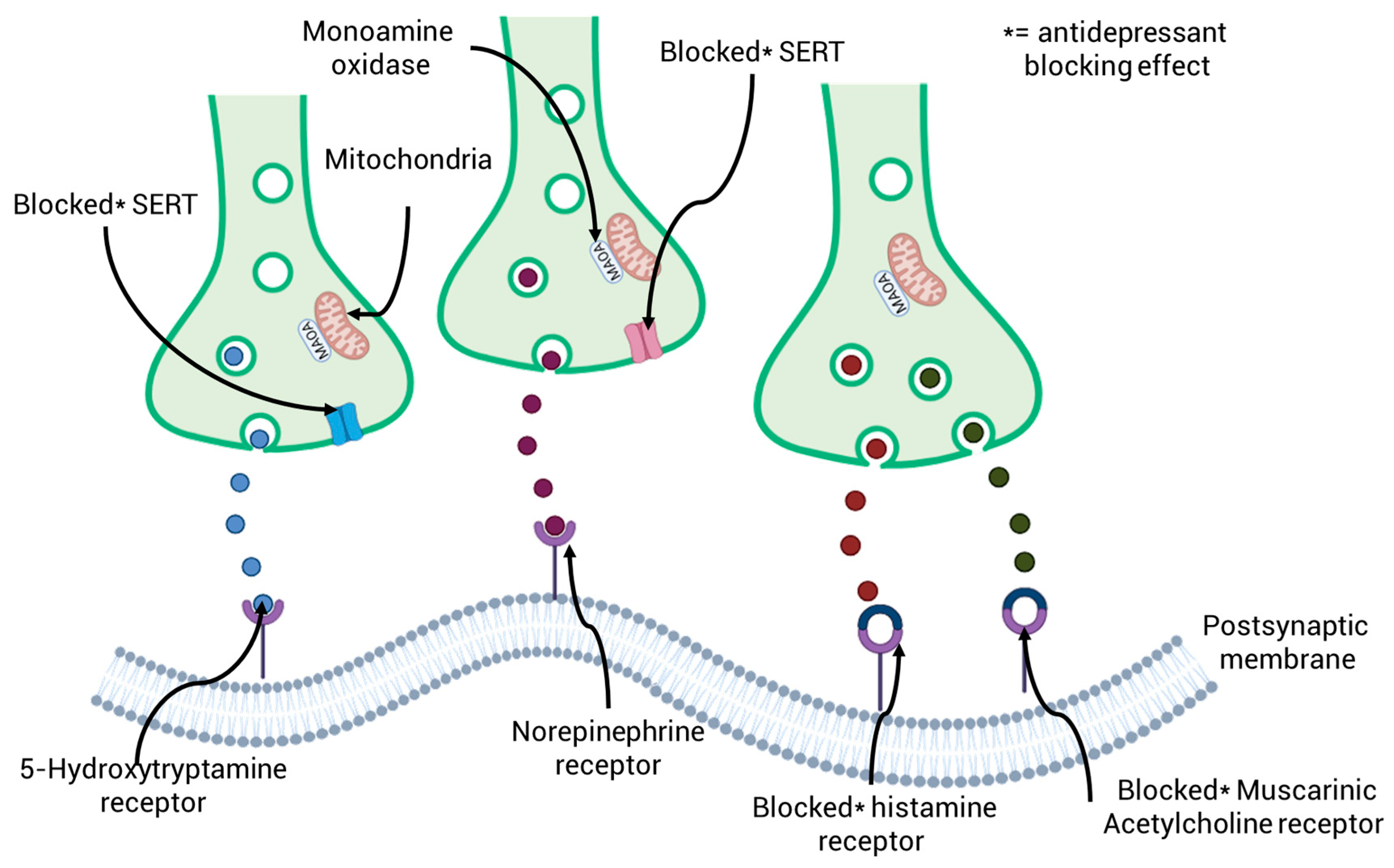 Sustainability 17 09752 g003