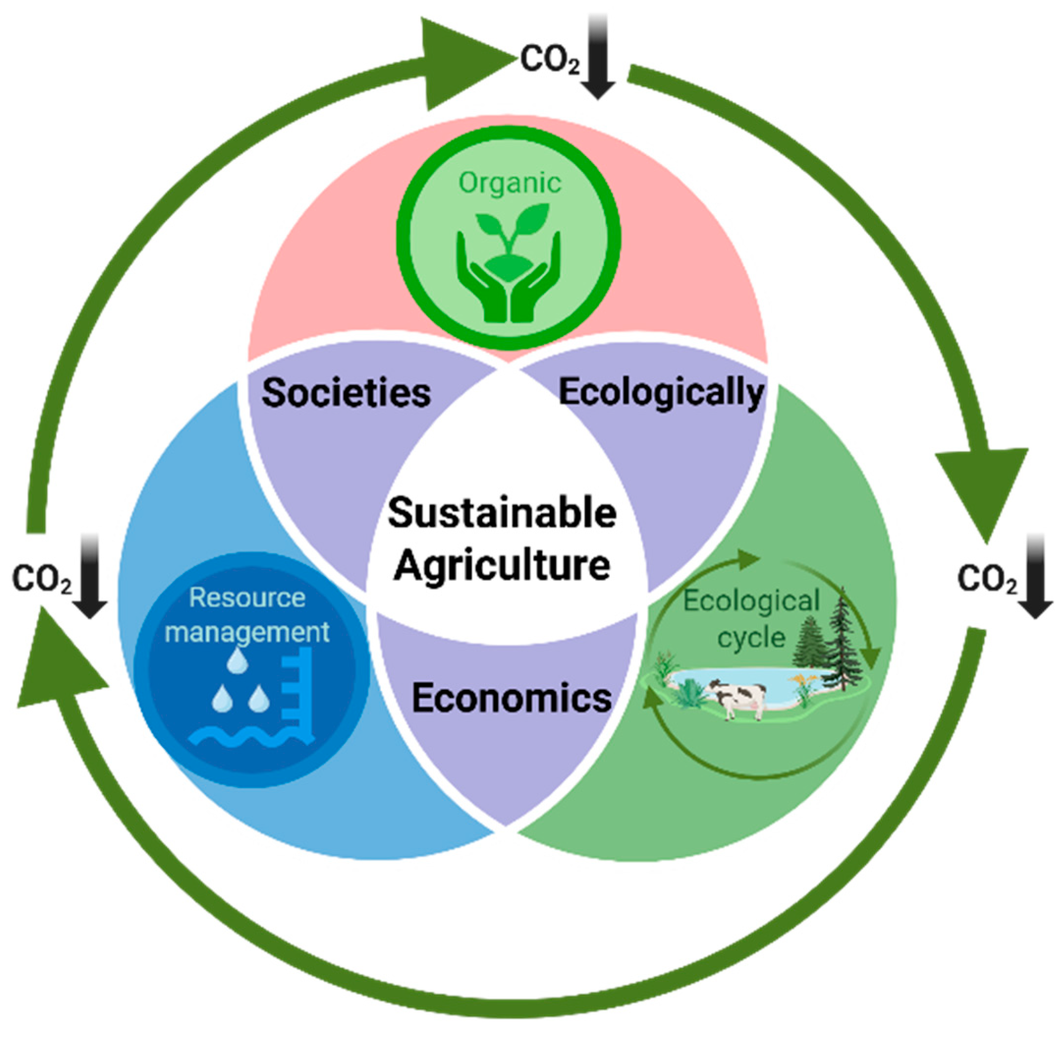 Sustainability 17 09754 g001 Sustainability 17 09754 g001
