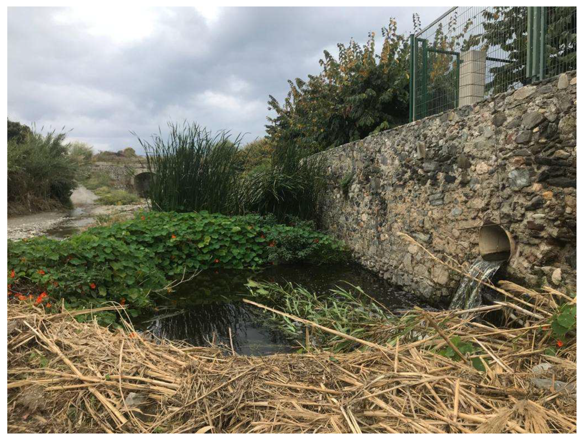 Sustainability 17 09792 g0a1 Sustainability 17 09792 g0a1