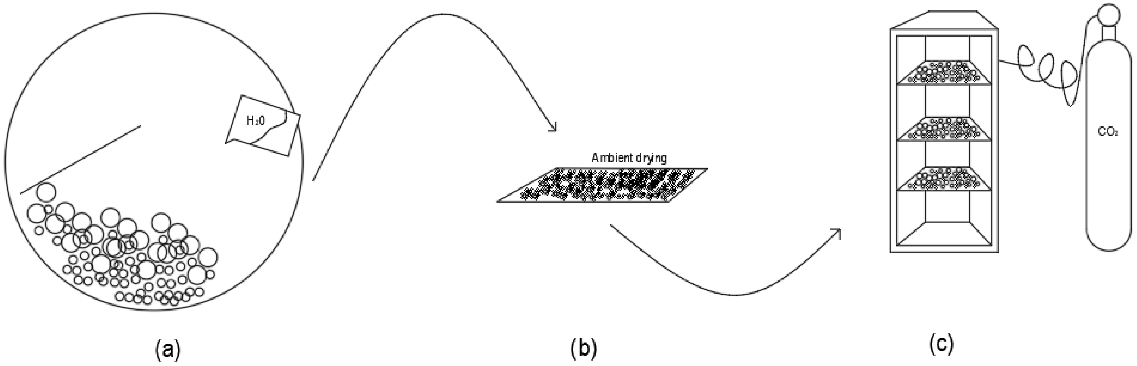 Sustainability 17 09804 g001