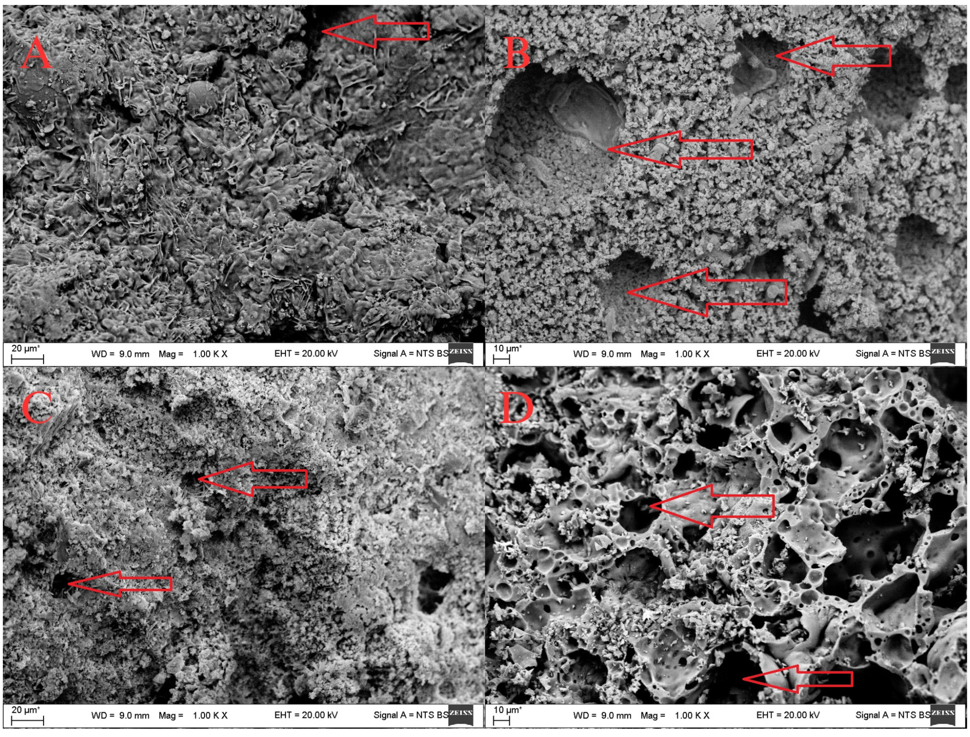 Sustainability 17 09804 g010