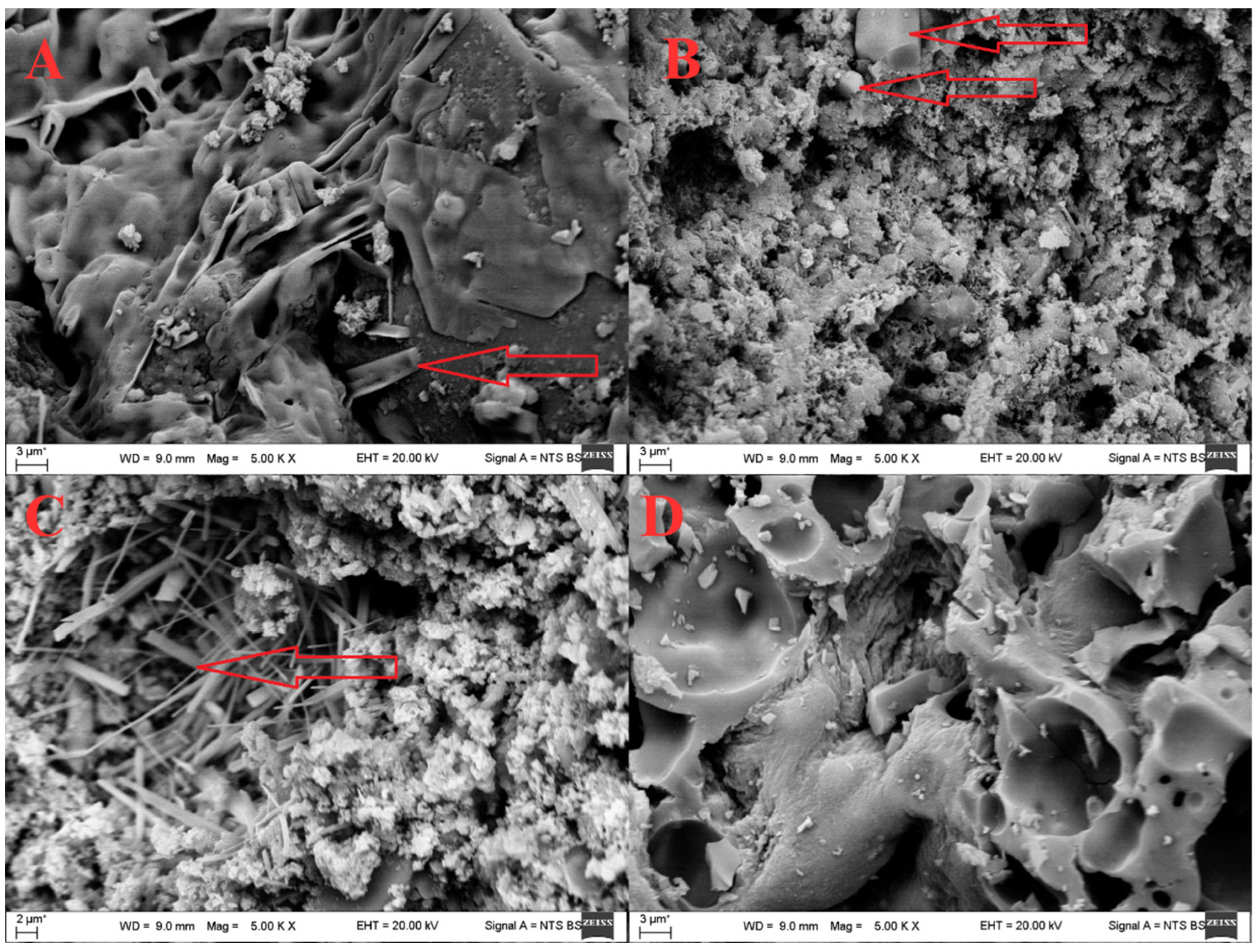 Sustainability 17 09804 g011