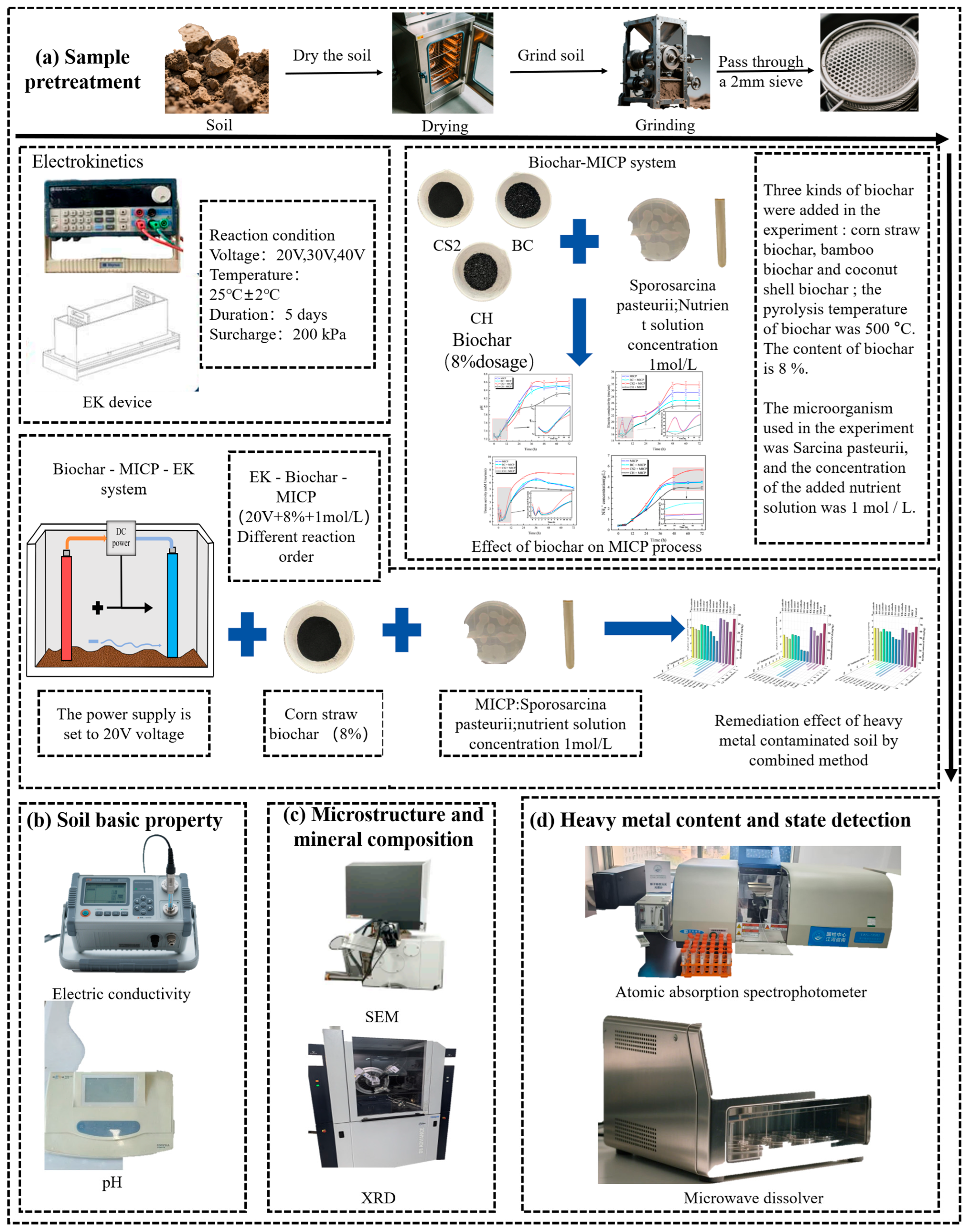 Sustainability 17 09811 g002