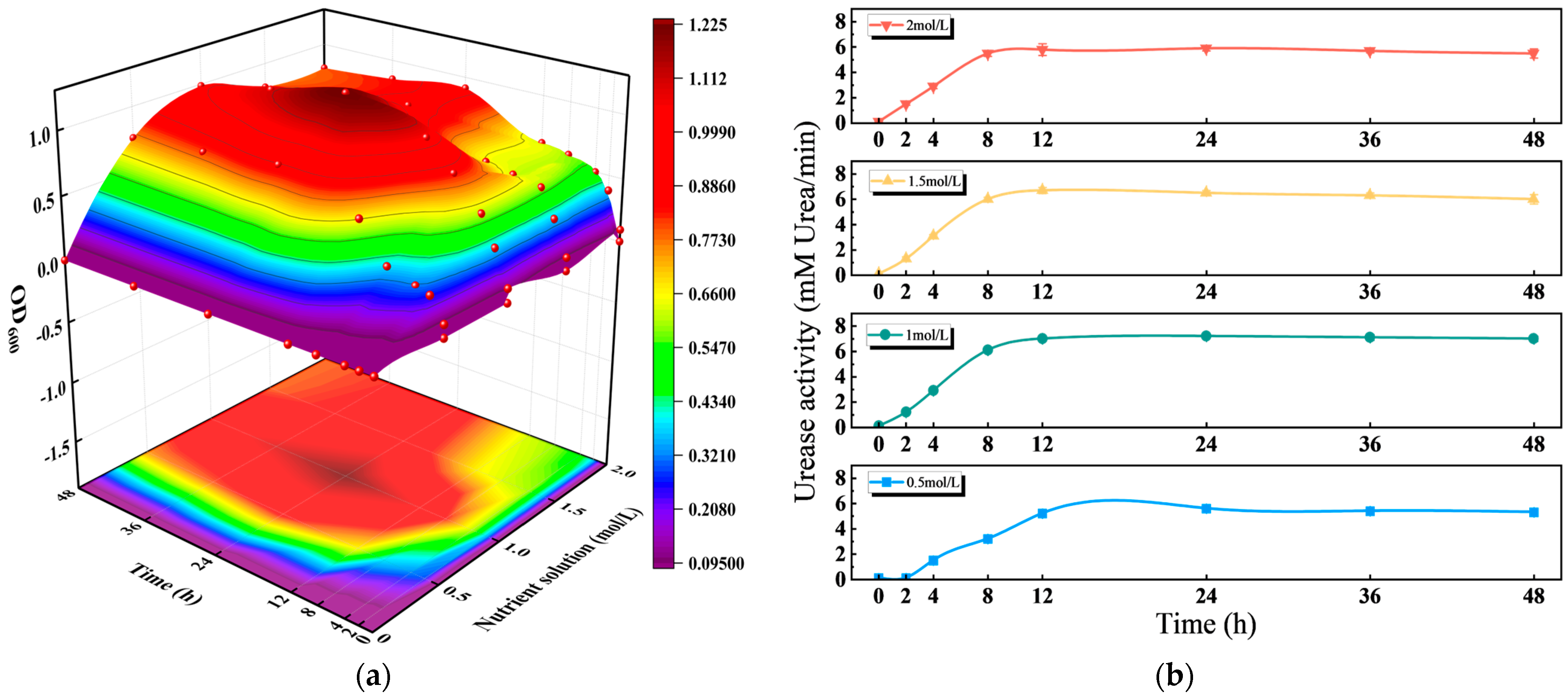 Sustainability 17 09811 g004a