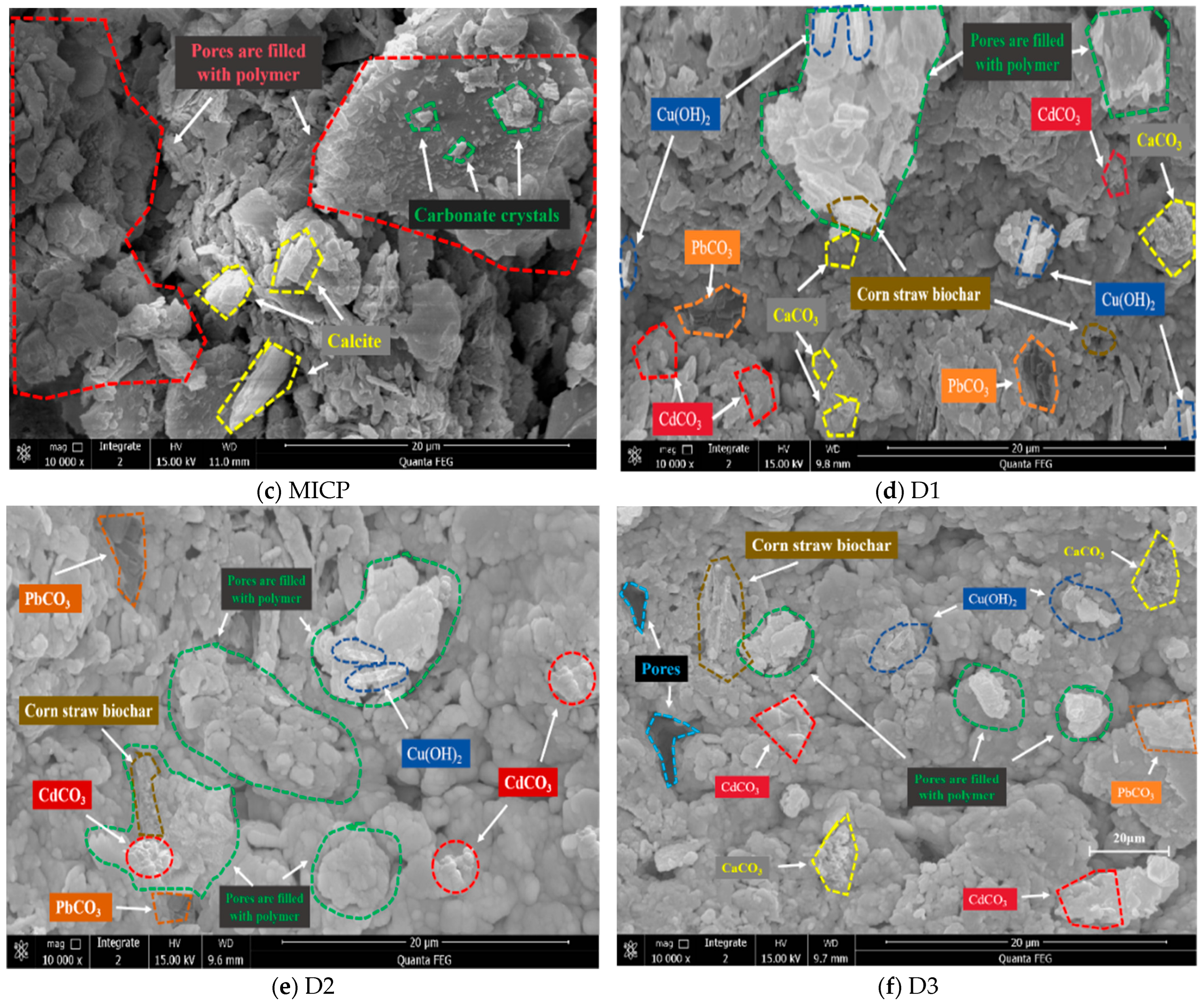 Sustainability 17 09811 g010b