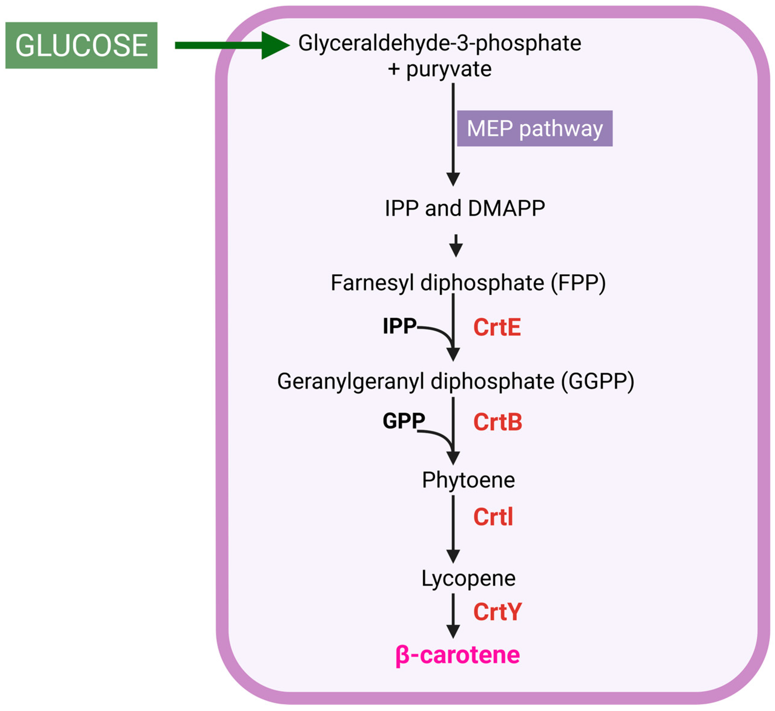 Sustainability 17 09897 g001