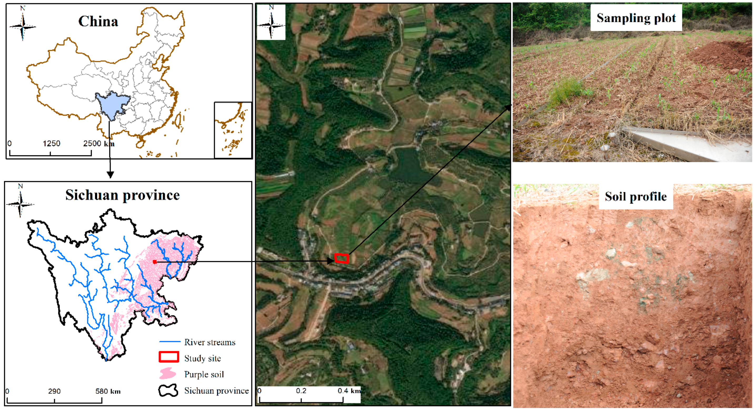 Sustainability 17 09898 g001 Sustainability 17 09898 g001