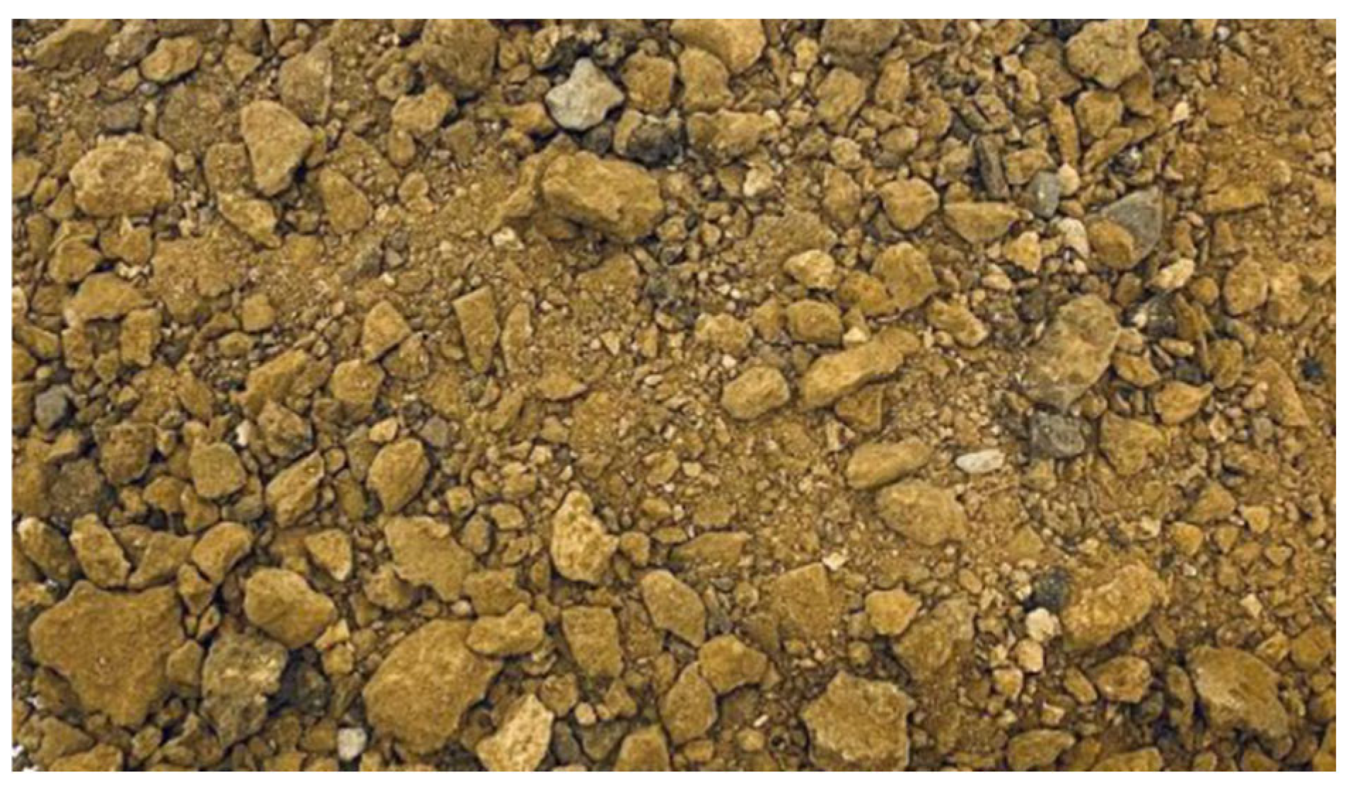 Sustainability 17 09919 g004