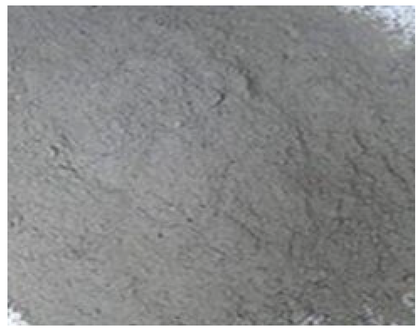 Sustainability 17 09919 g005