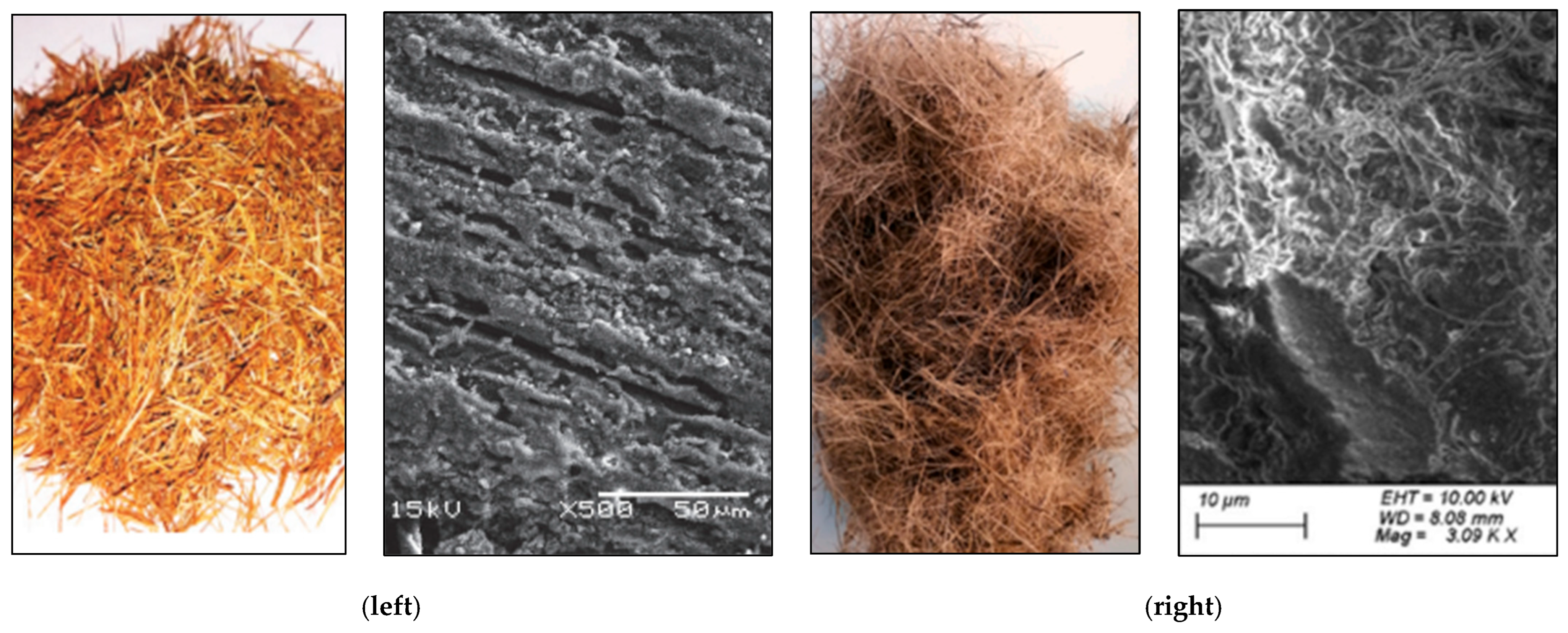 Sustainability 17 09955 g007 Sustainability 17 09955 g007