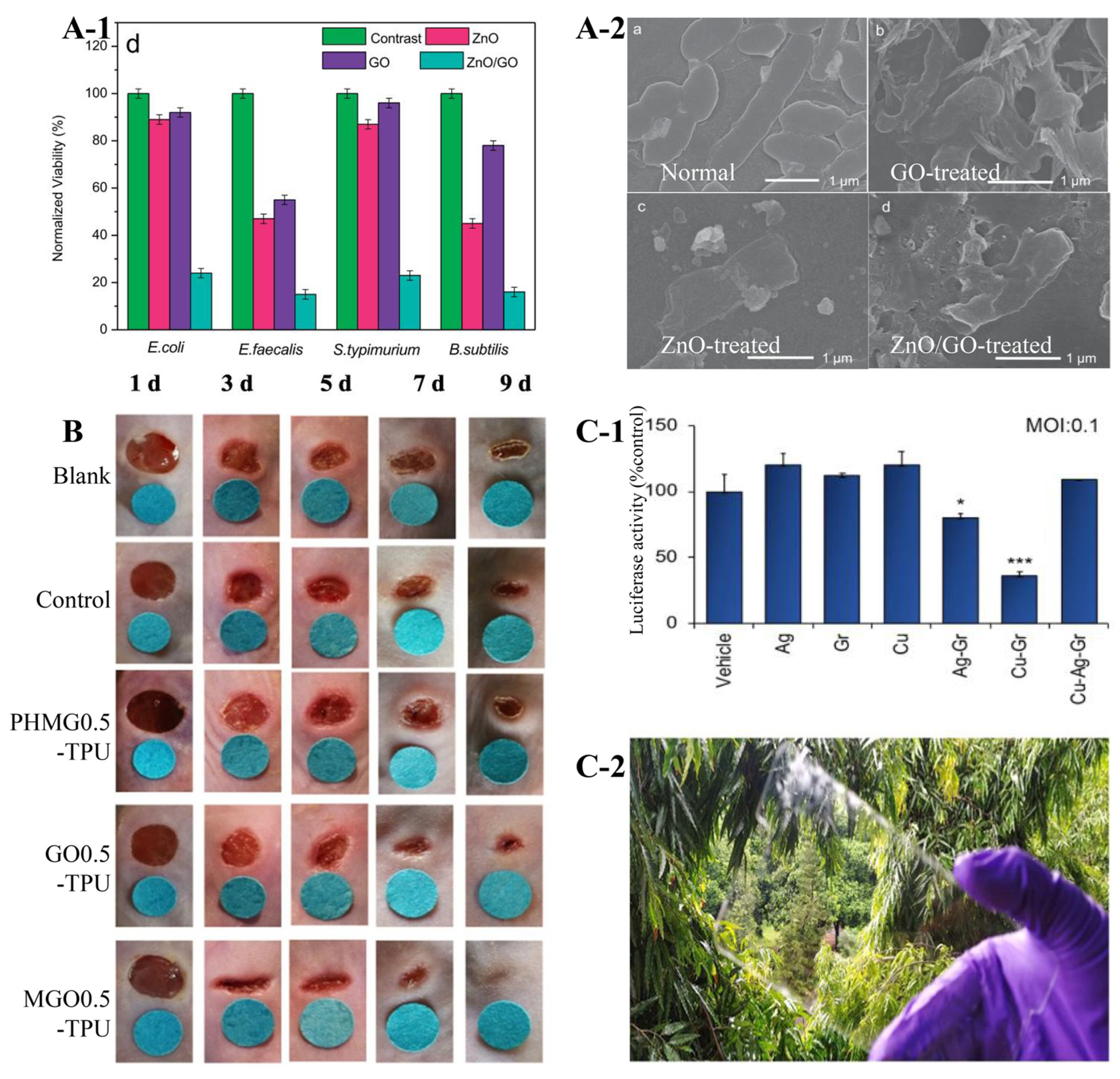 Sustainability 17 10058 g002
