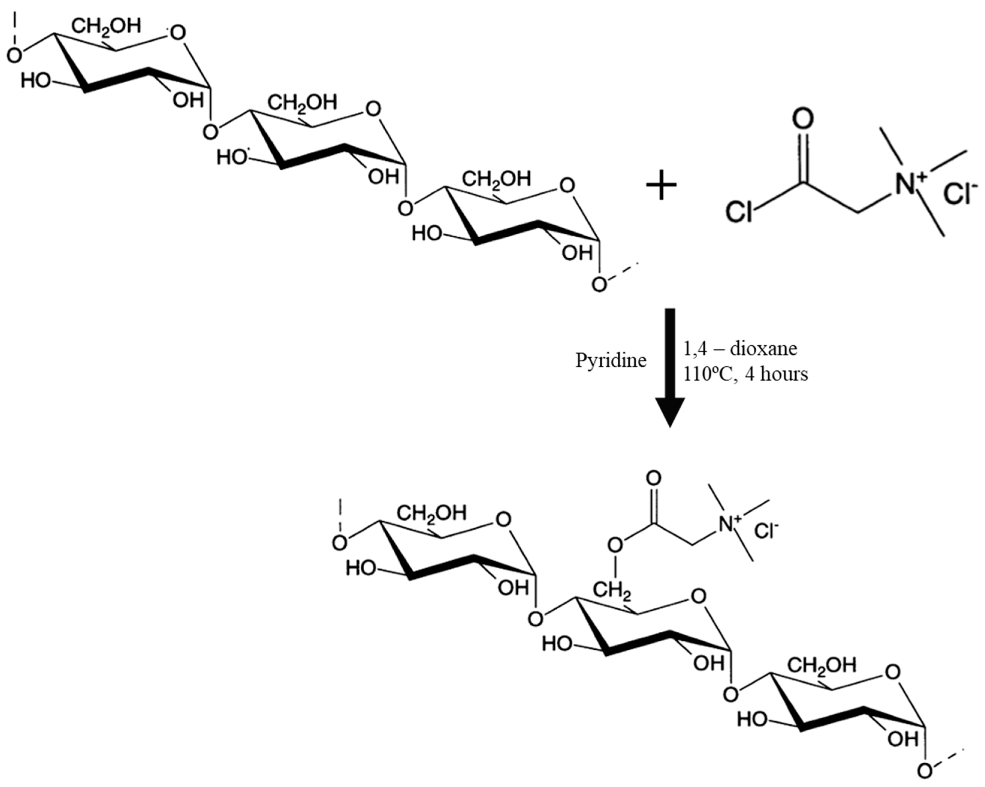 Sustainability 17 10060 g003