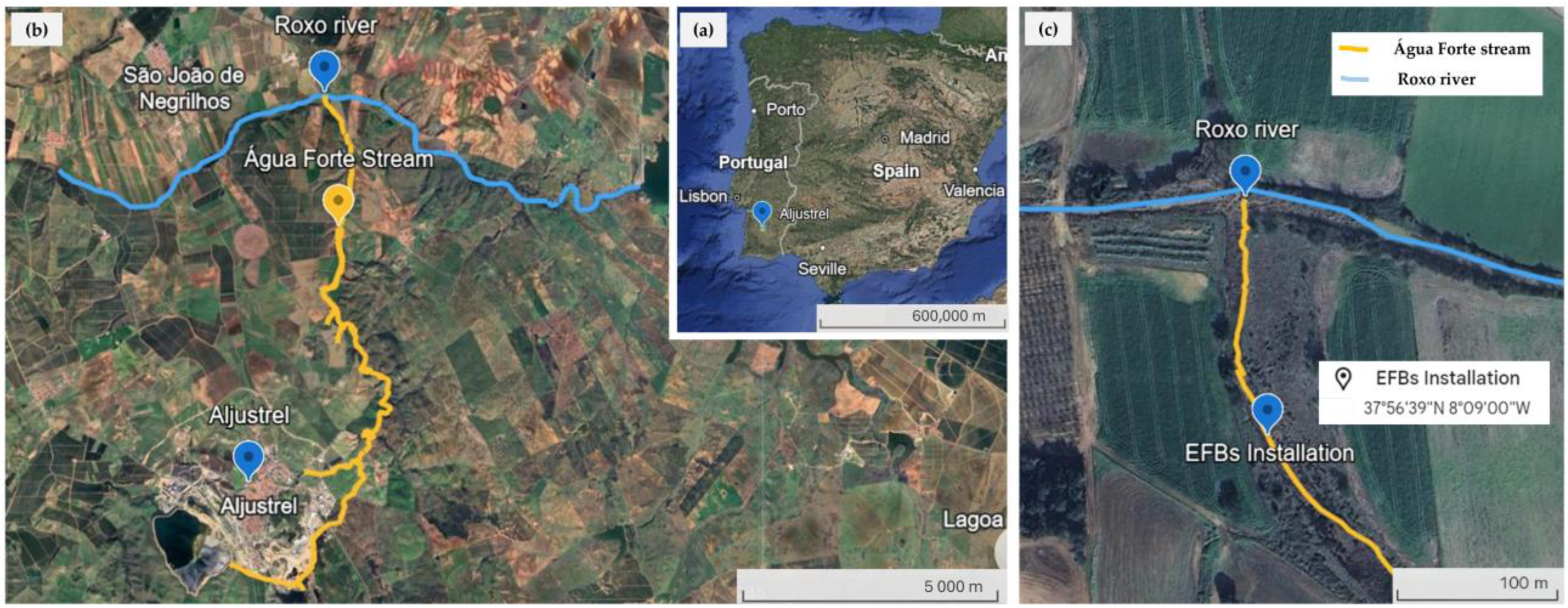 Sustainability 17 10064 g001