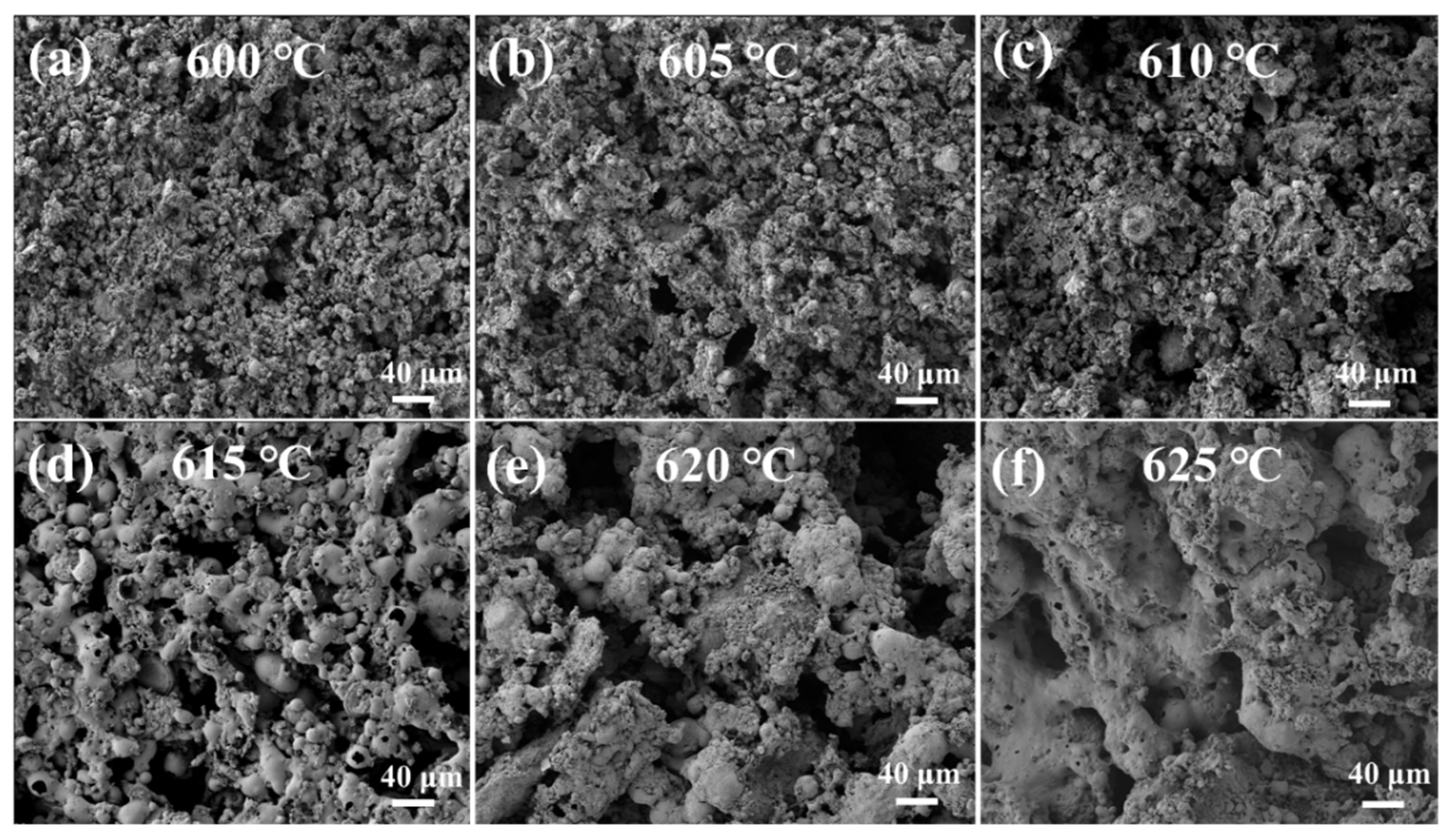 Sustainability 17 10111 g005