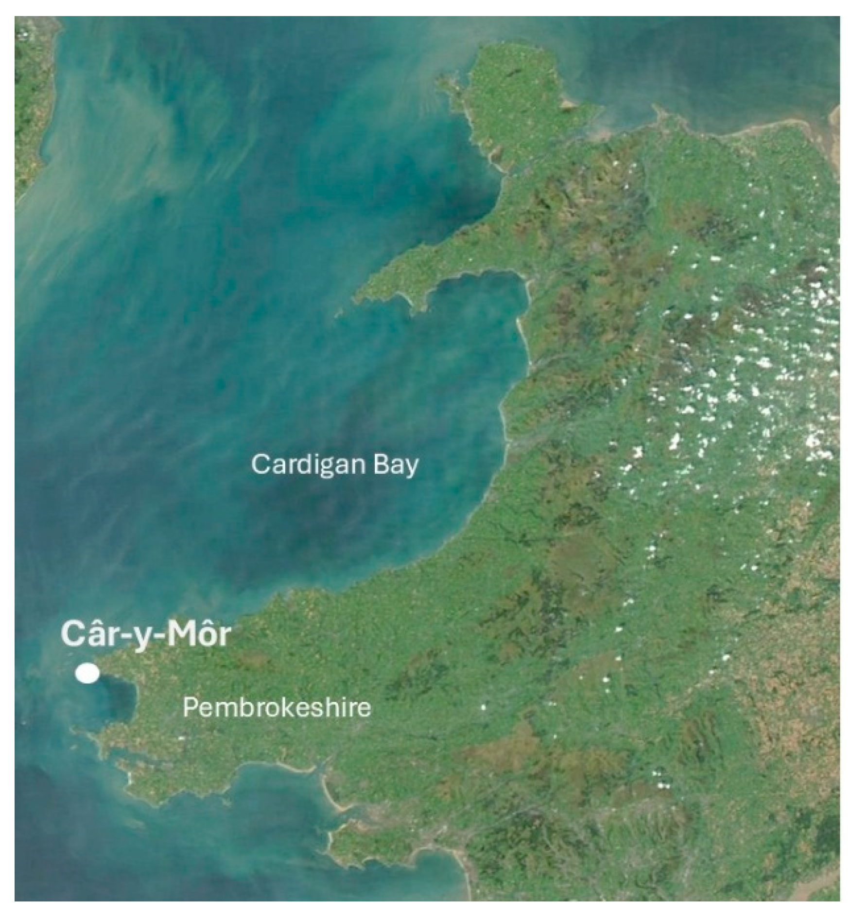 Sustainability 17 10136 g002