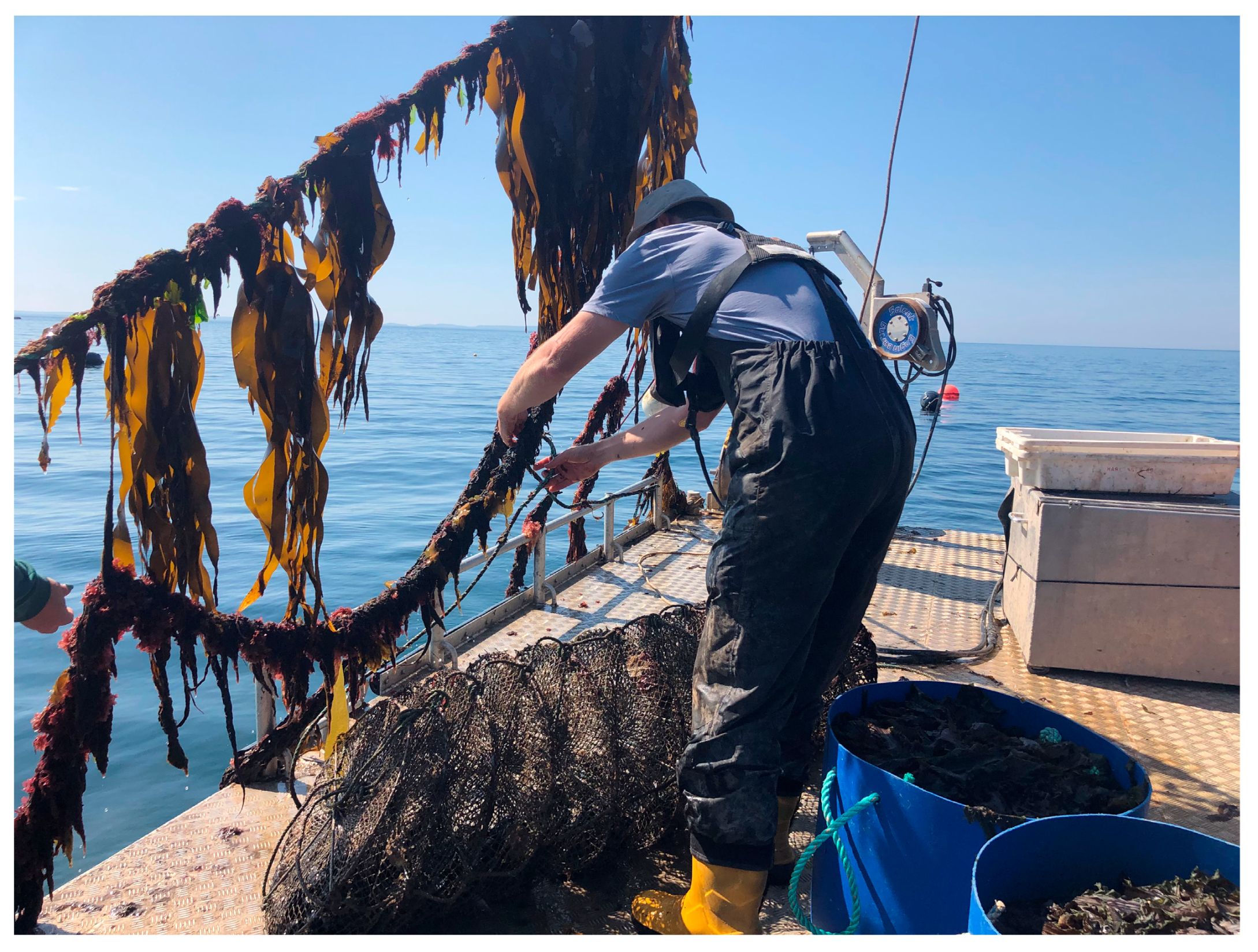 Sustainability 17 10136 g003