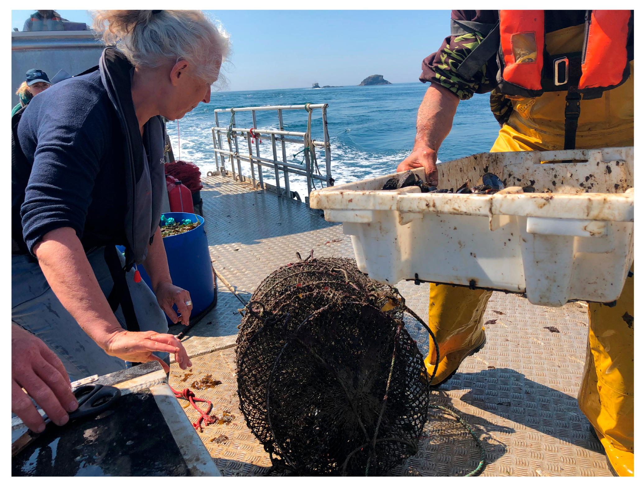 Sustainability 17 10136 g004