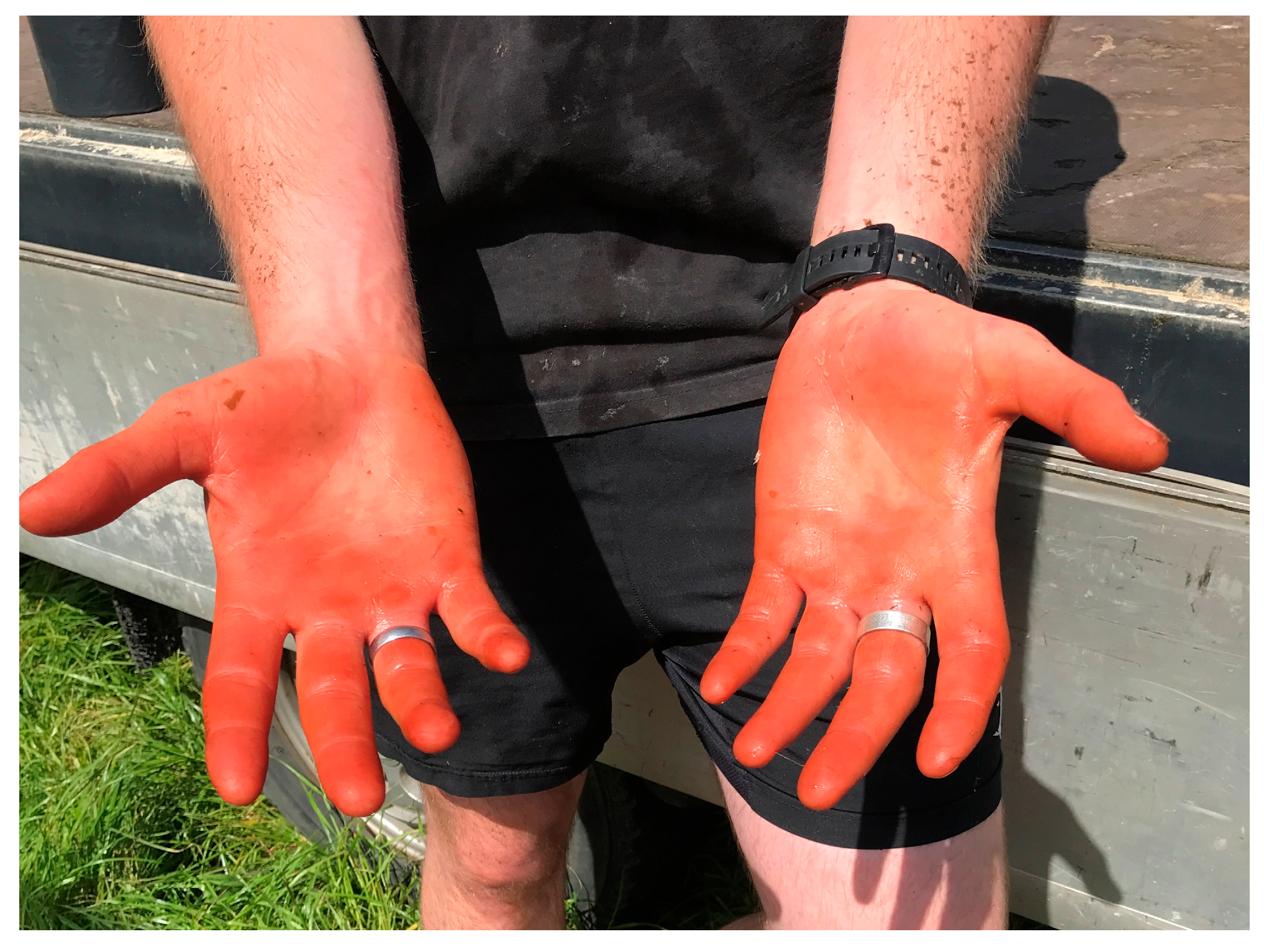 Sustainability 17 10136 g005