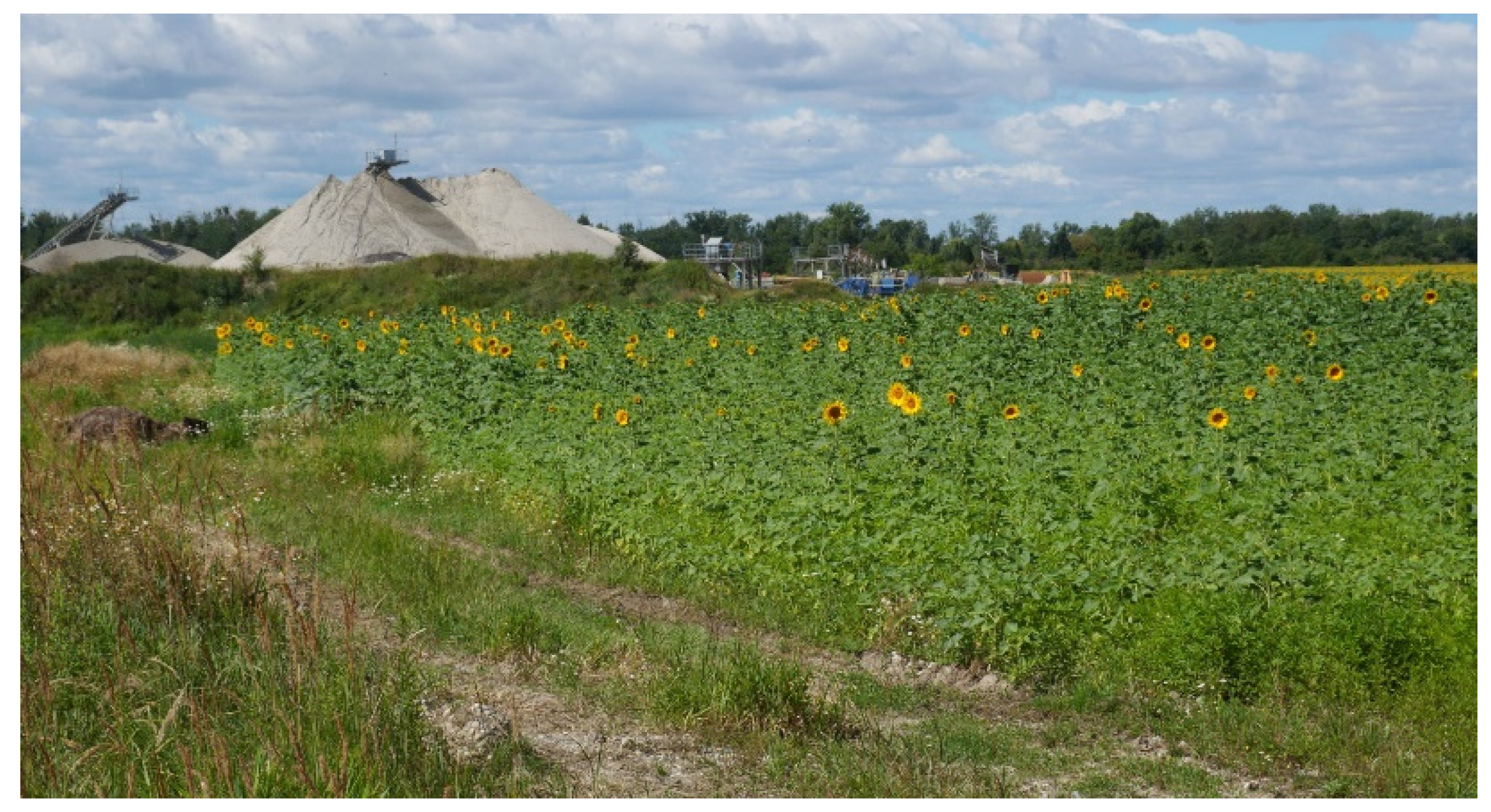 Sustainability 17 10168 g010