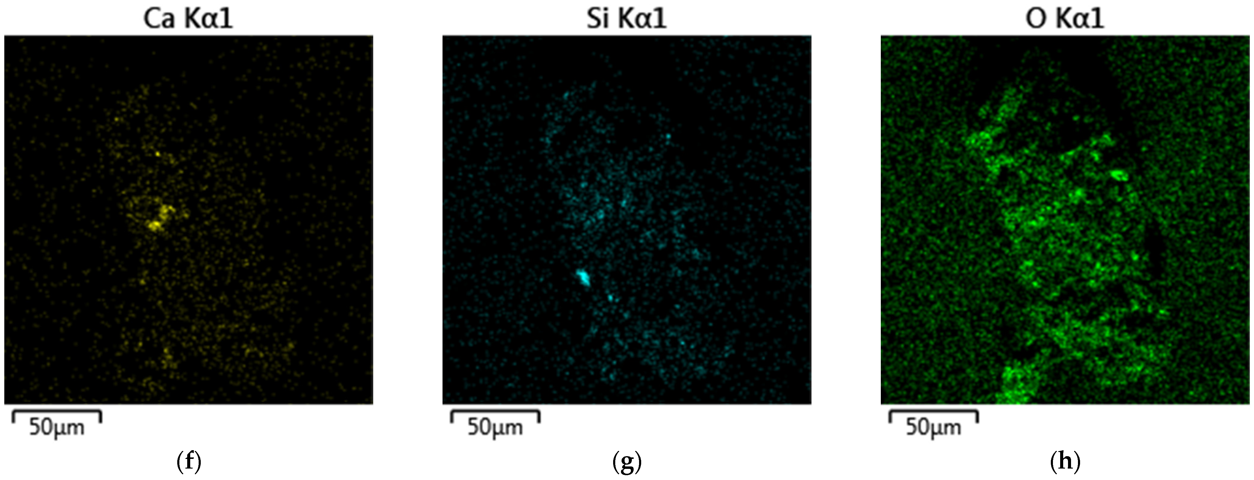 Sustainability 17 10171 g012b