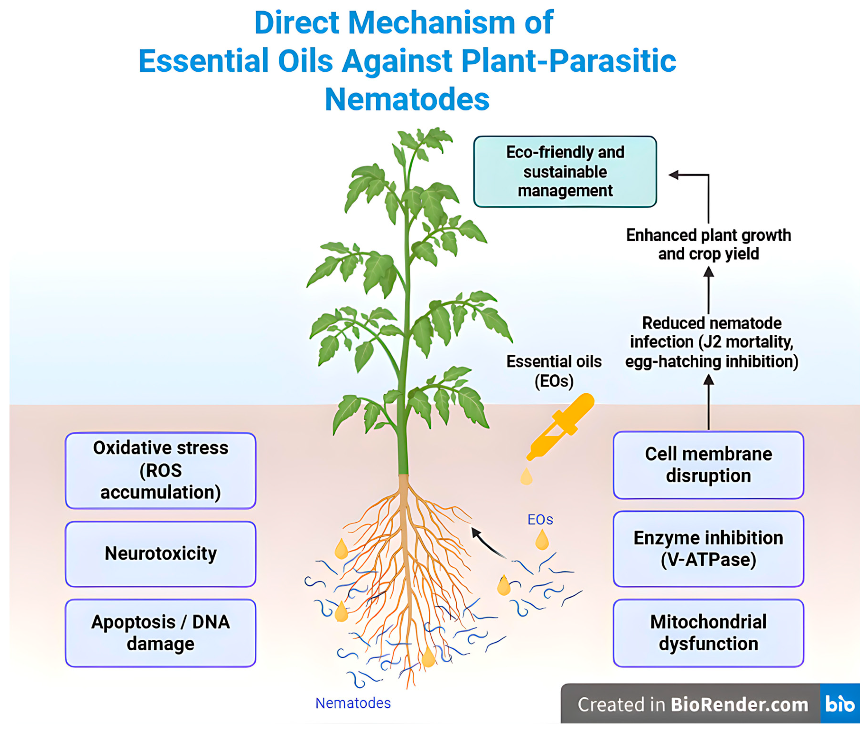 Sustainability 17 10189 g002 Sustainability 17 10189 g002