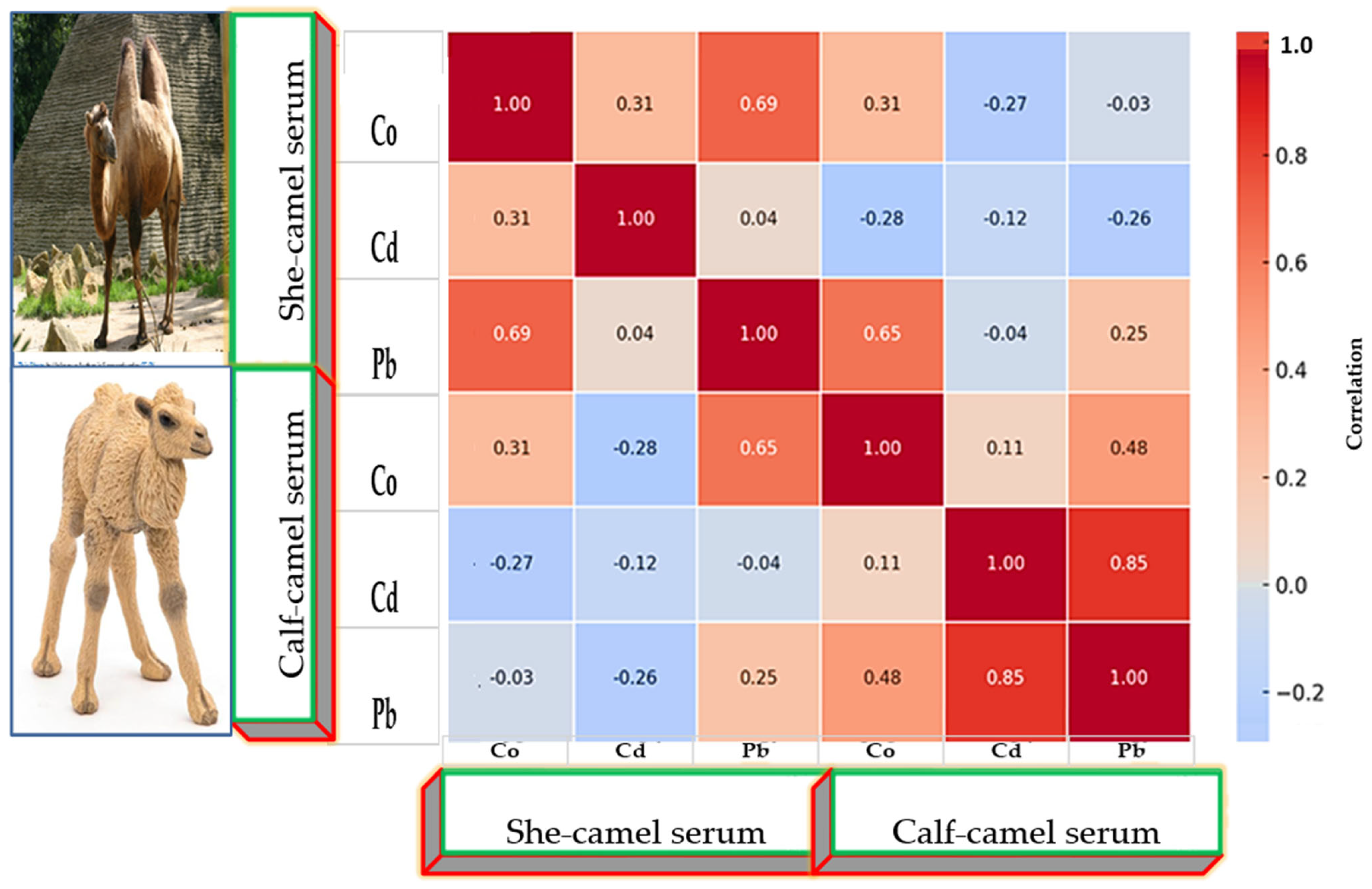 Sustainability 17 10205 g006 Sustainability 17 10205 g006
