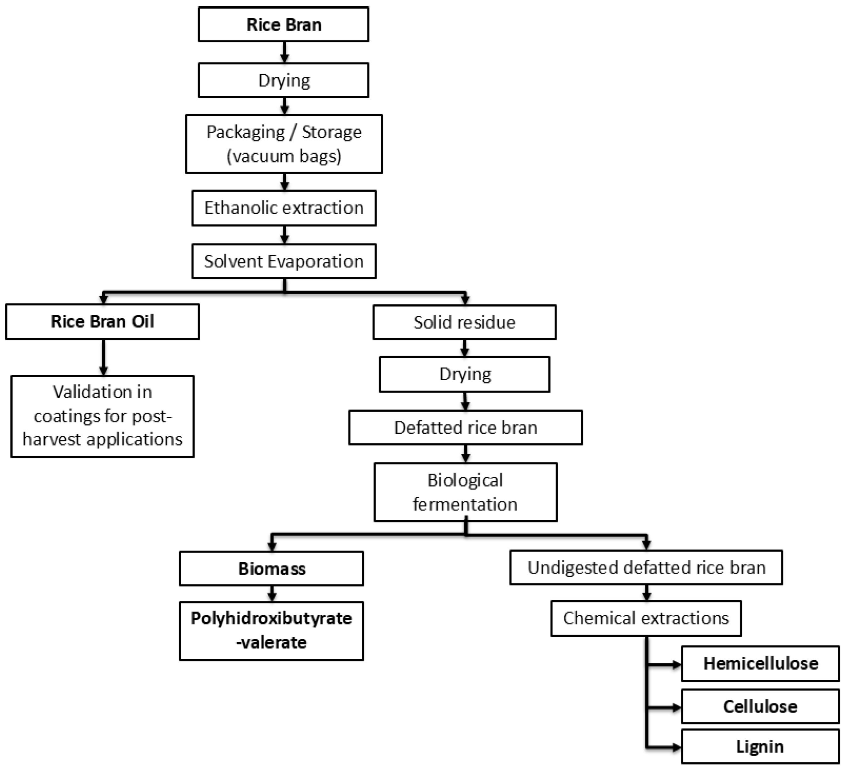 Sustainability 17 10219 g001 Sustainability 17 10219 g001
