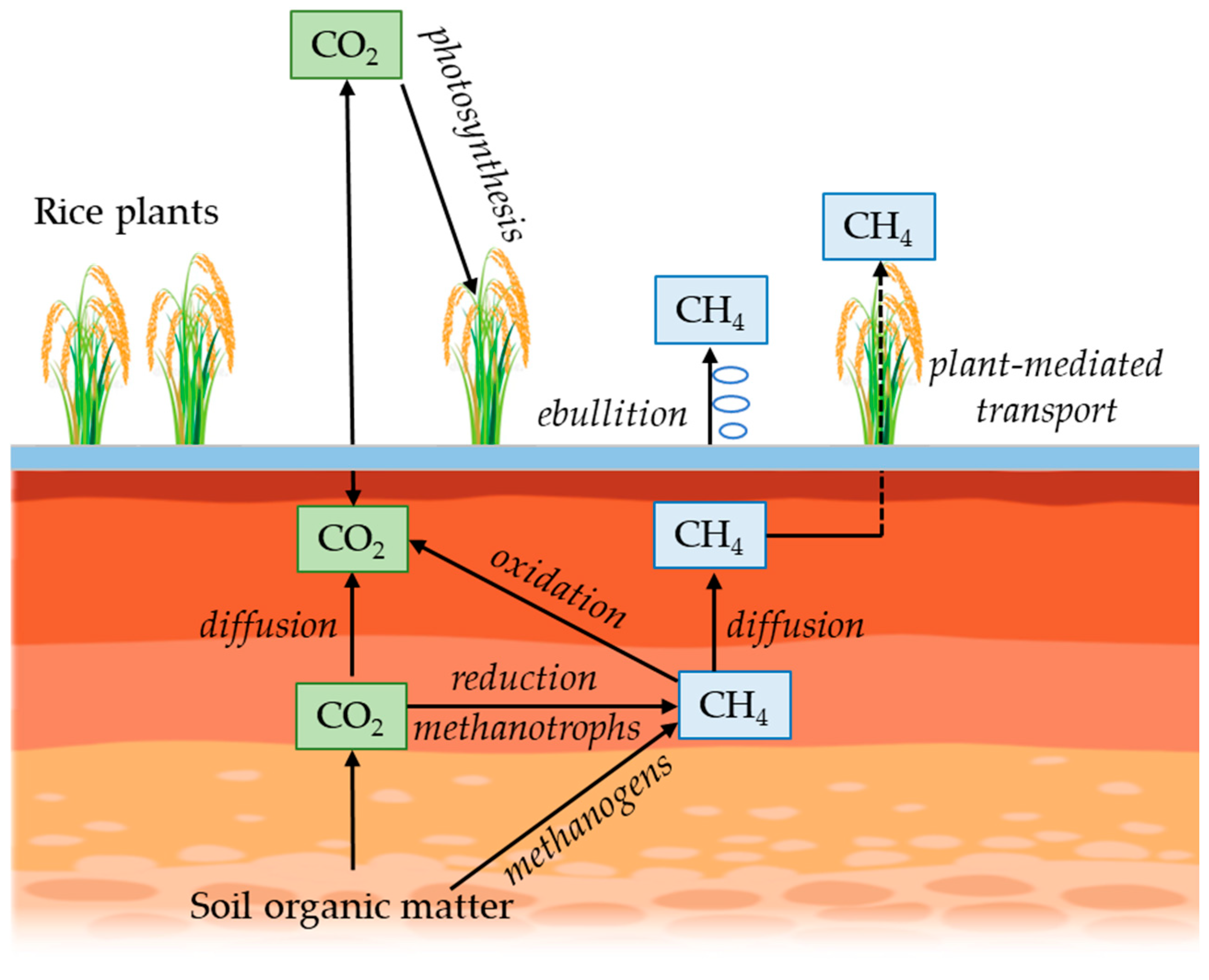 Sustainability 17 10228 g010 Sustainability 17 10228 g010