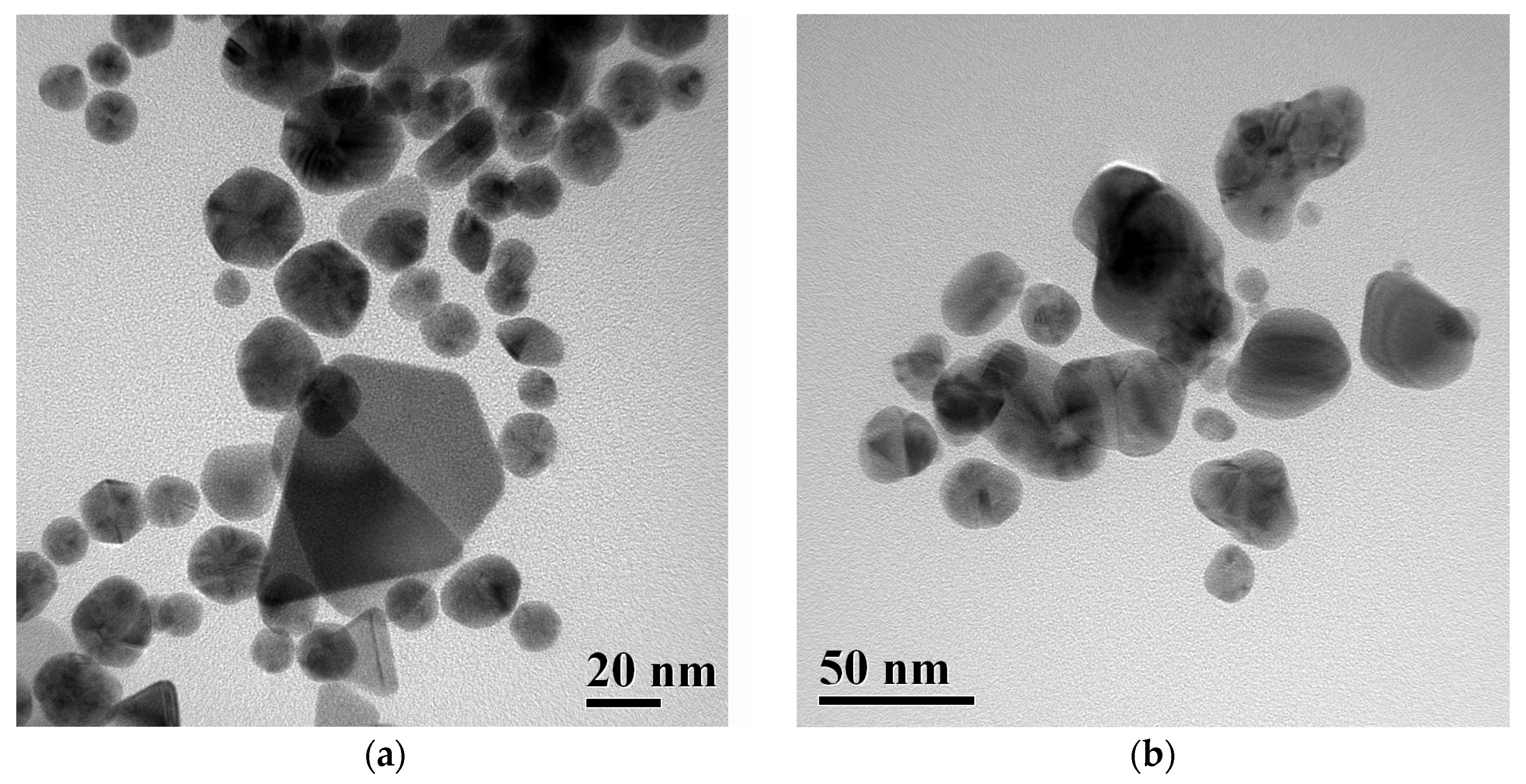 Sustainability 17 10232 g003
