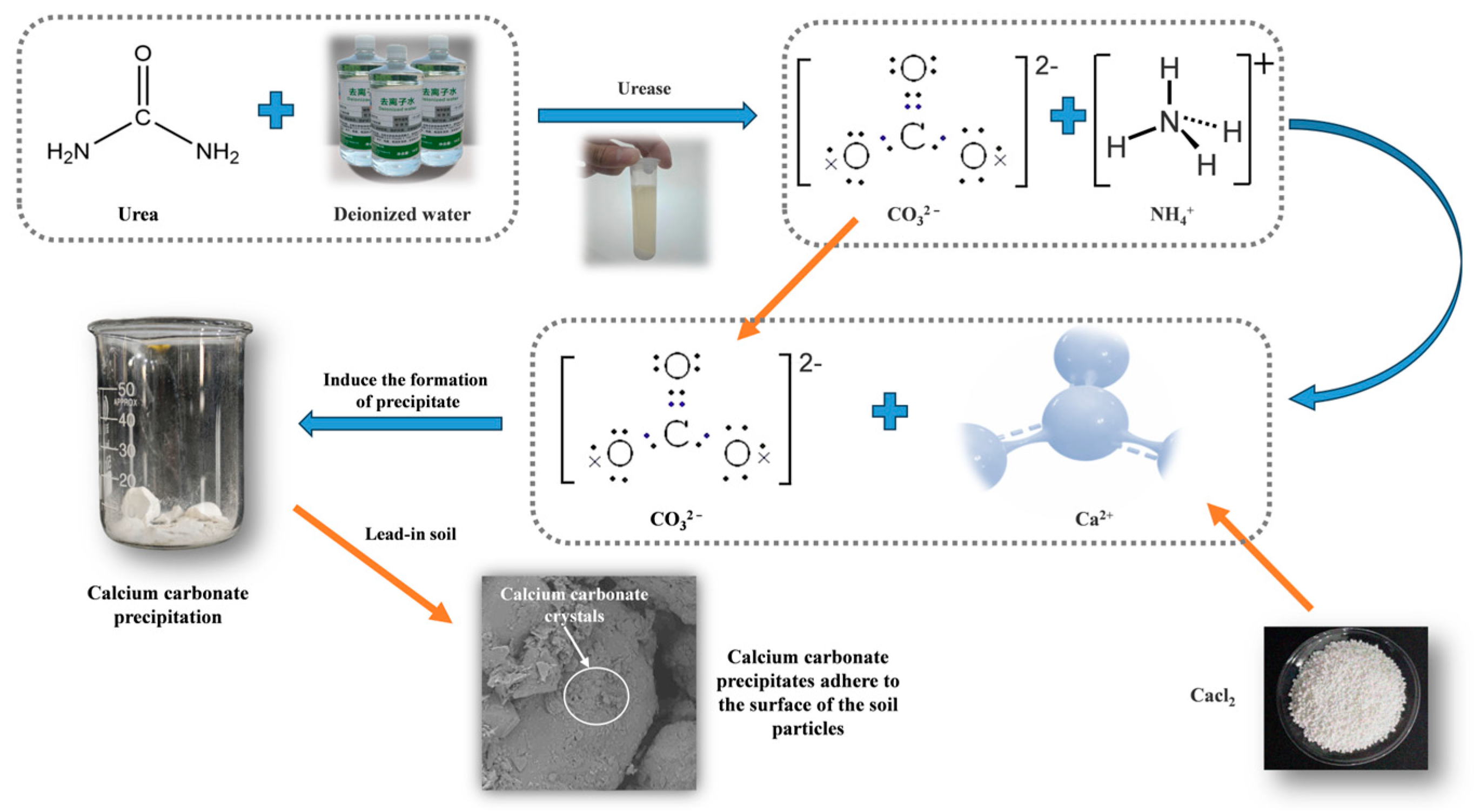 Sustainability 17 10247 g001