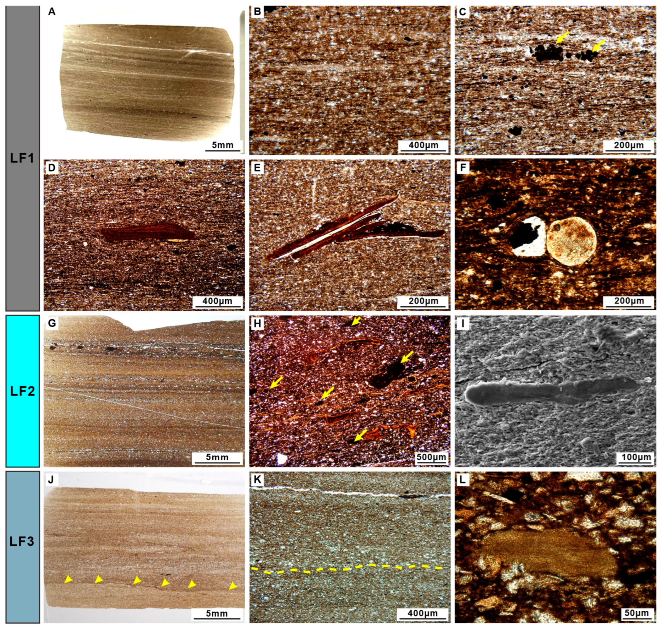 Sustainability 17 10248 g004 Sustainability 17 10248 g004