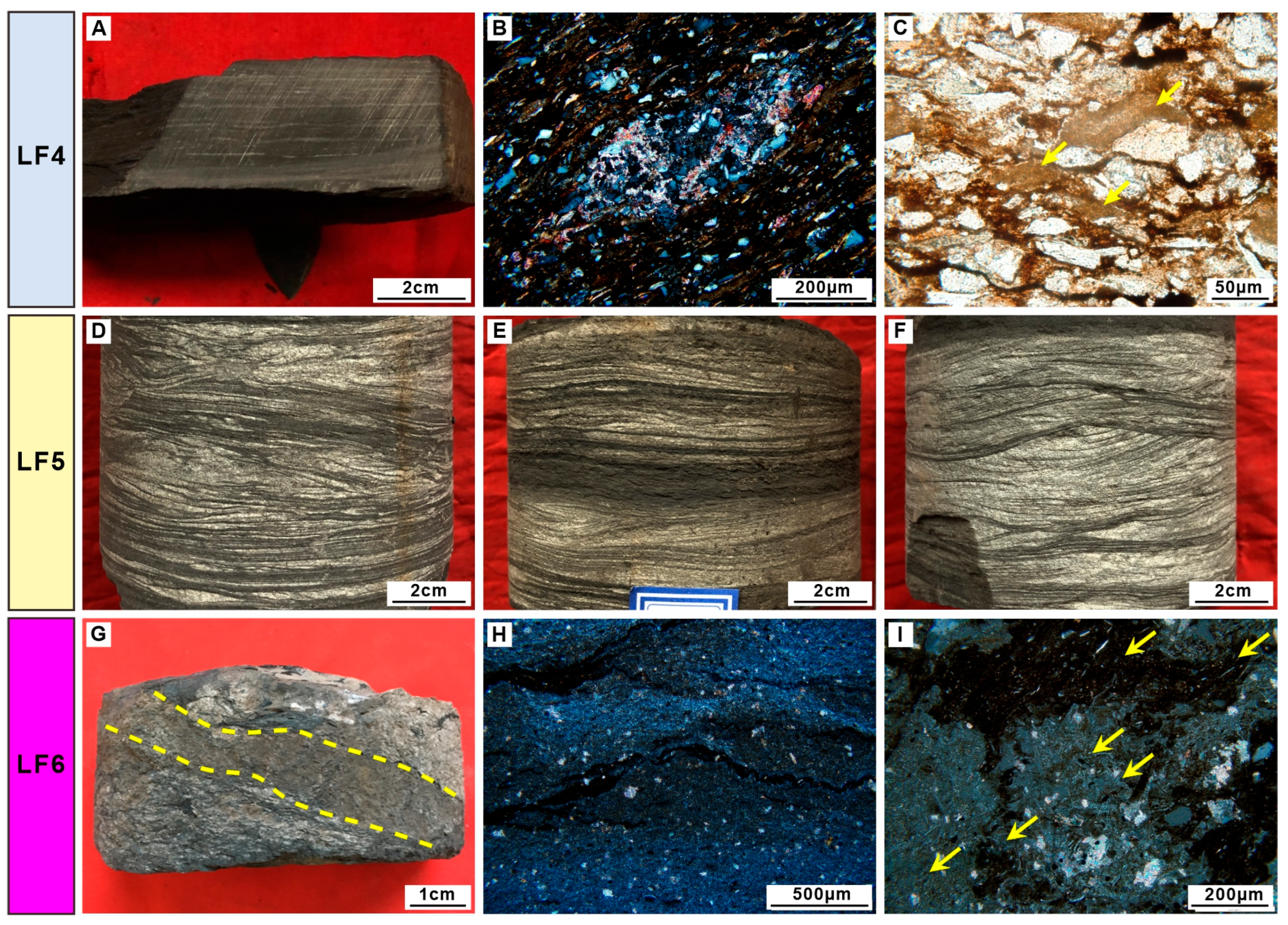 Sustainability 17 10248 g005 Sustainability 17 10248 g005