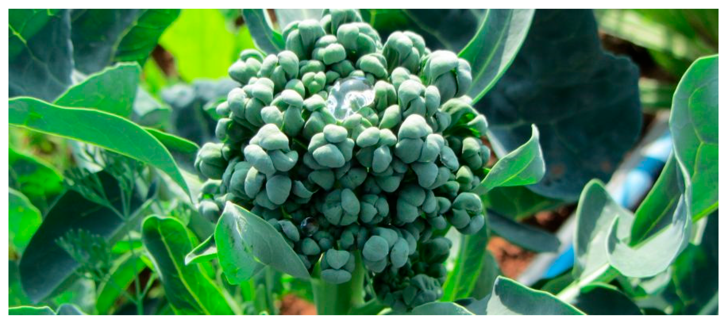 Sustainability 17 10296 g002