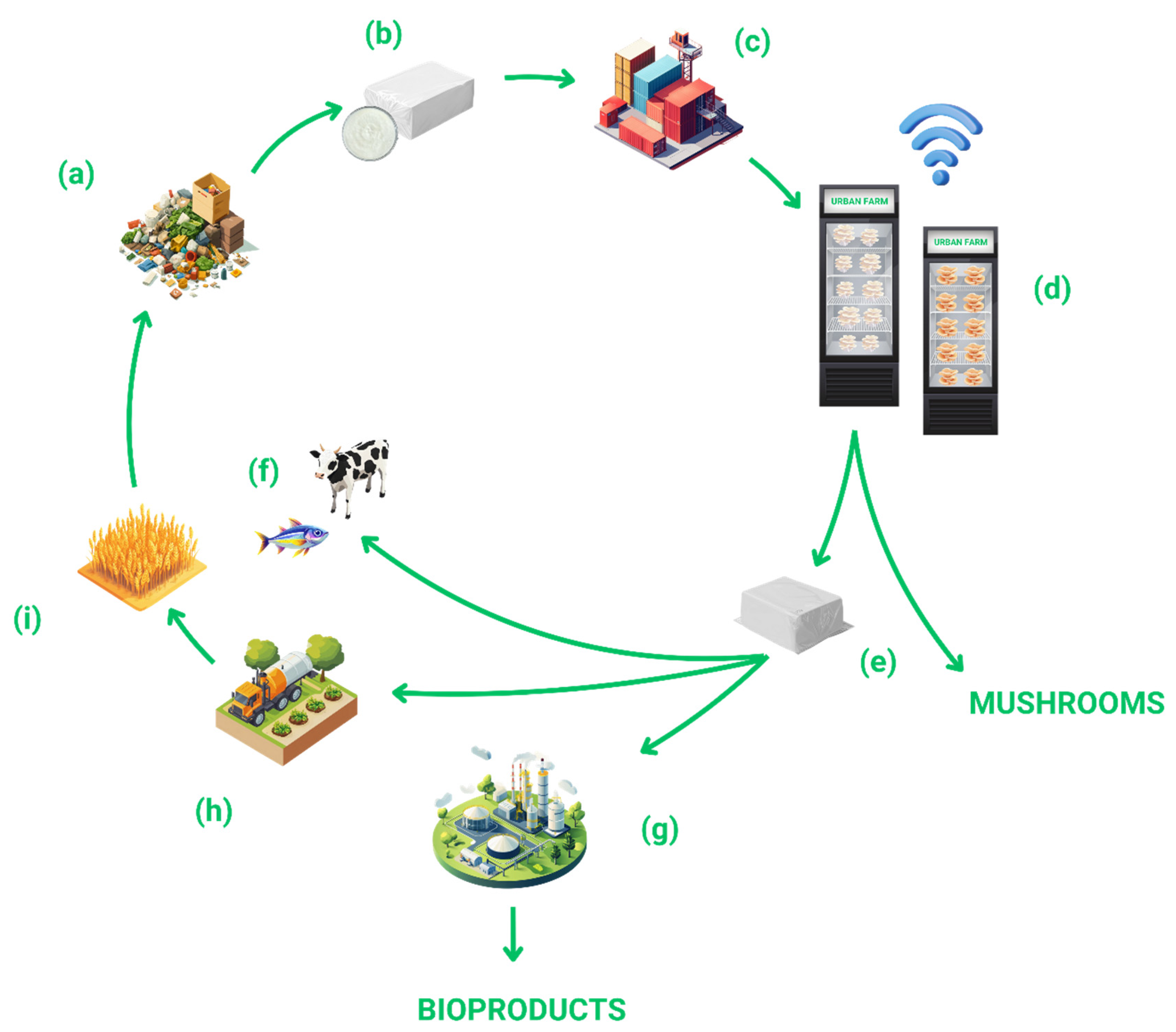 Sustainability 17 10332 g009 Sustainability 17 10332 g009