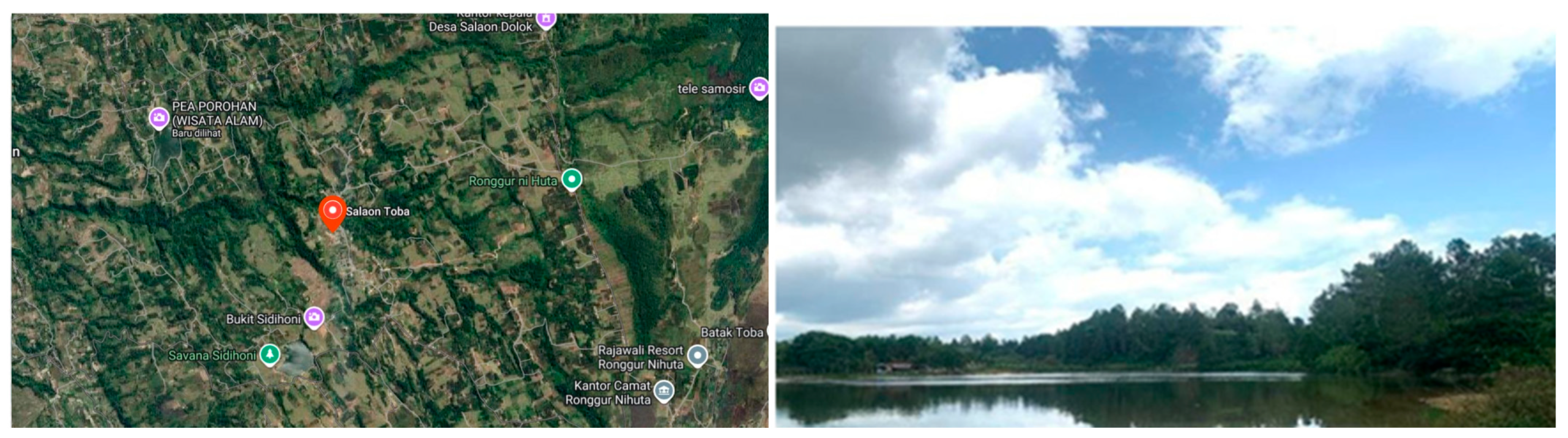 Sustainability 17 10335 g002