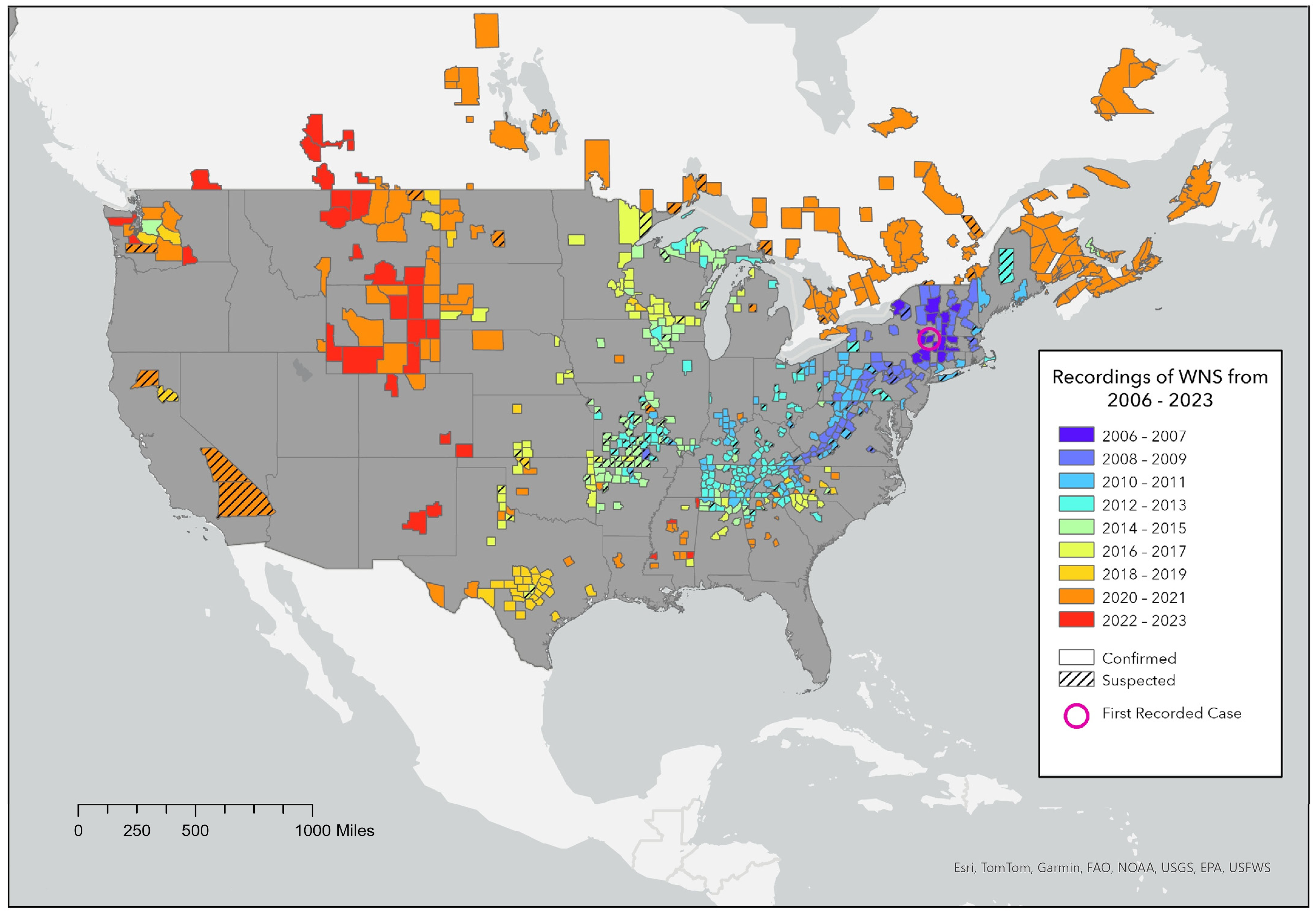 Sustainability 17 10339 g002
