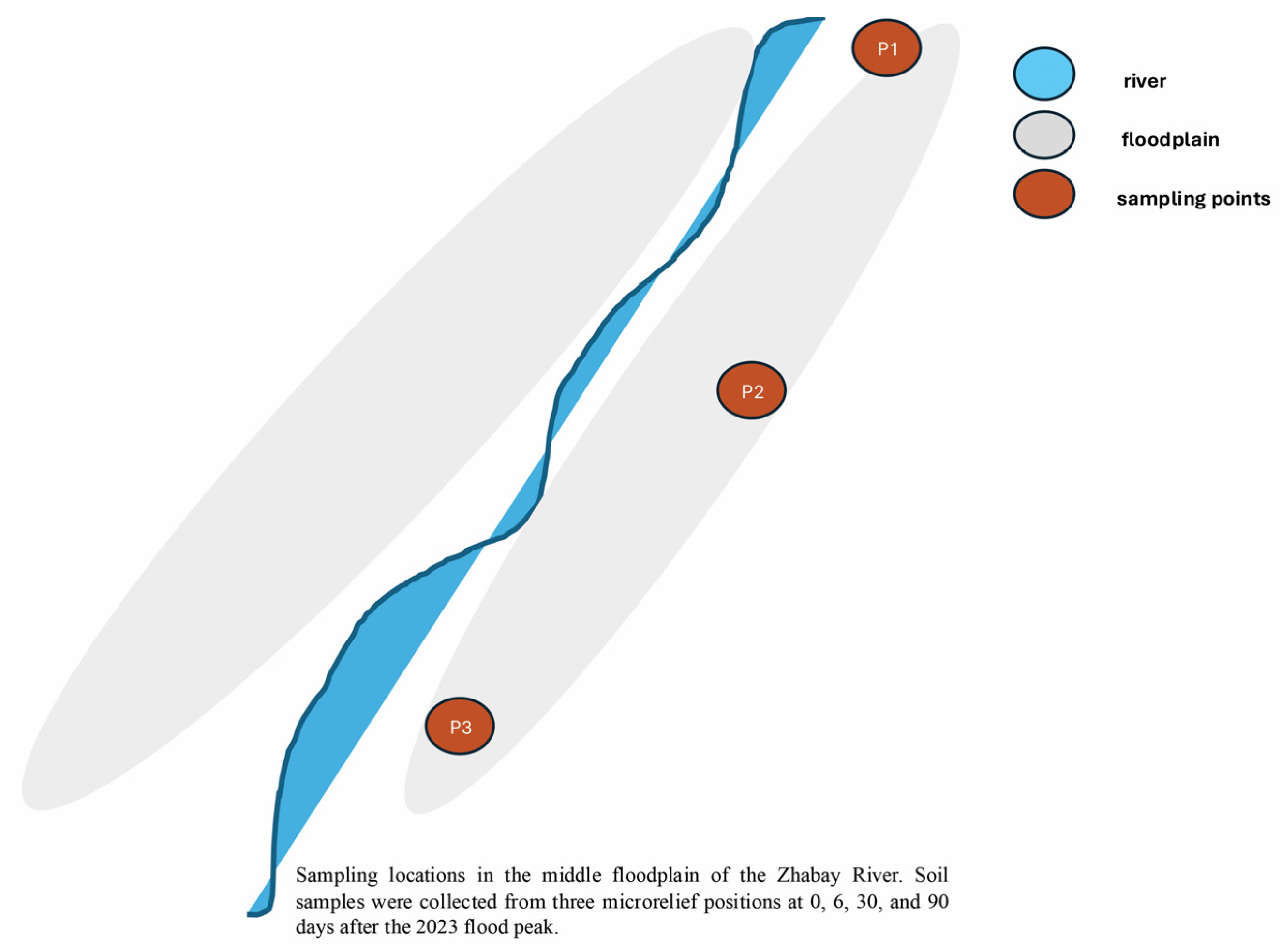 Sustainability 17 10378 g001