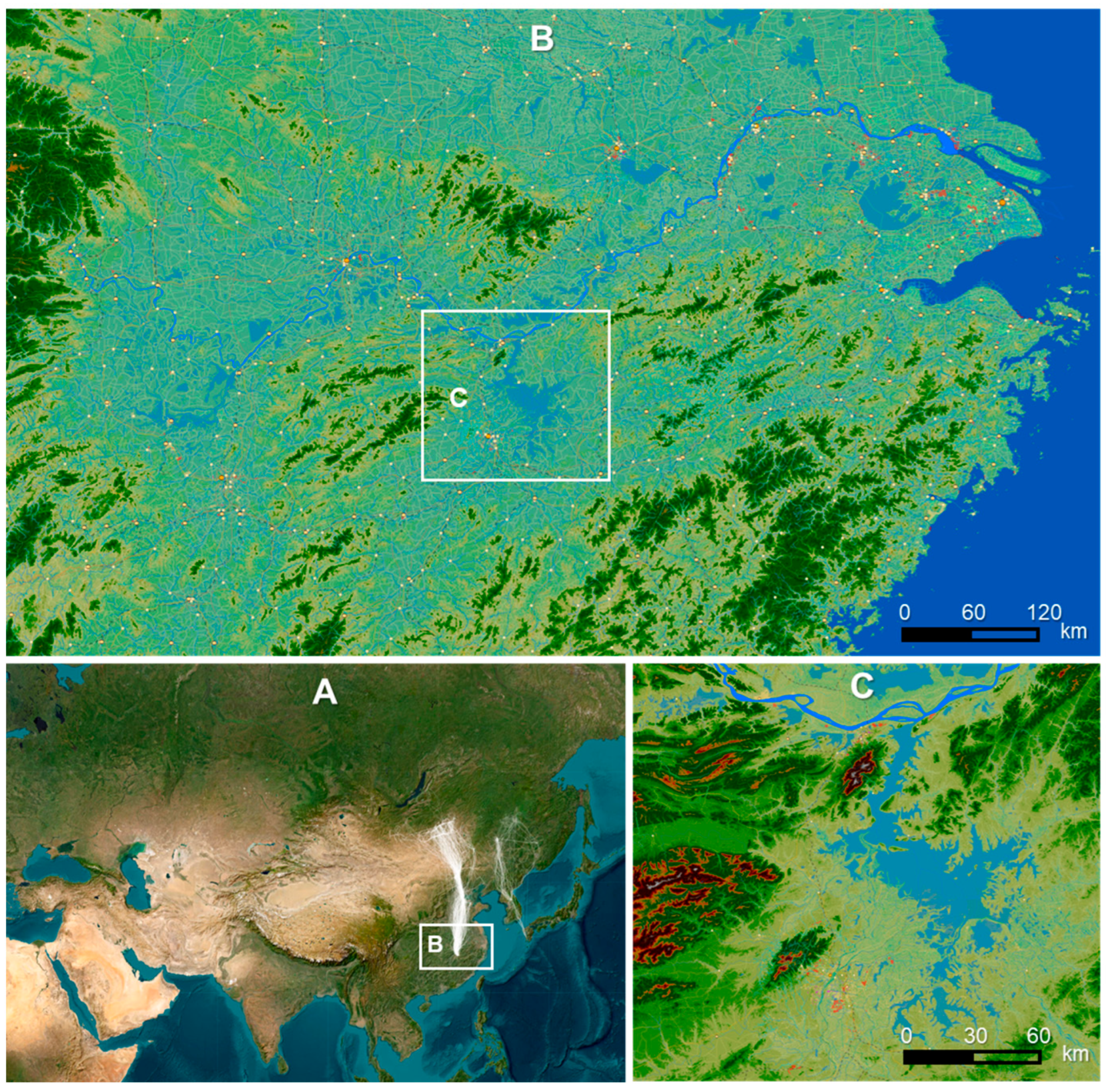 Sustainability 17 10429 g001
