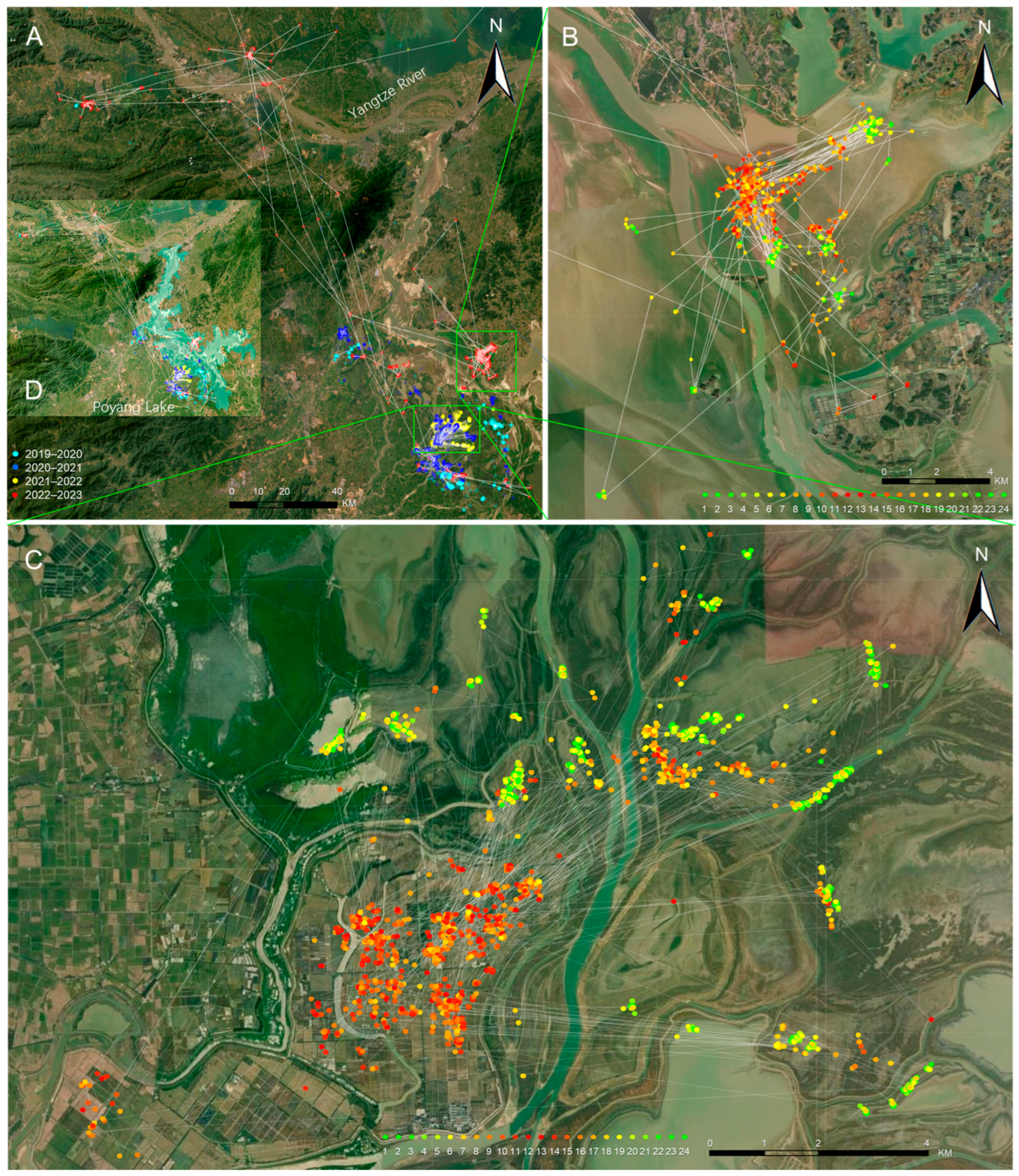 Sustainability 17 10429 g005