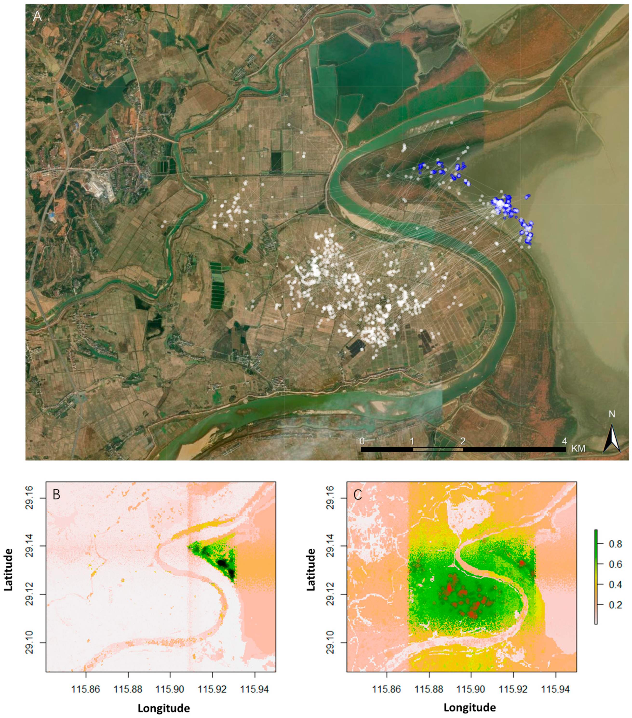 Sustainability 17 10429 g006