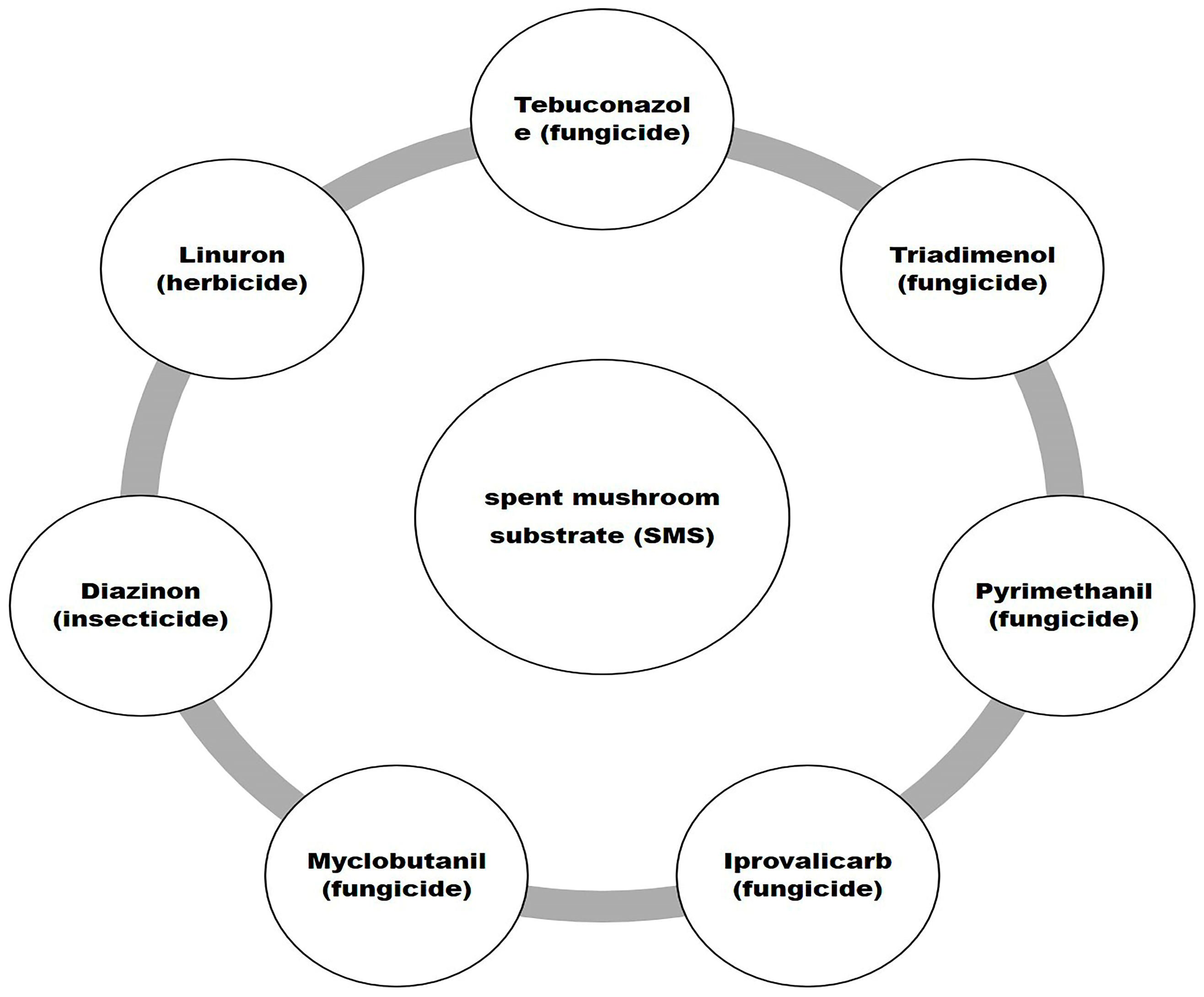 Sustainability 17 10477 g005
