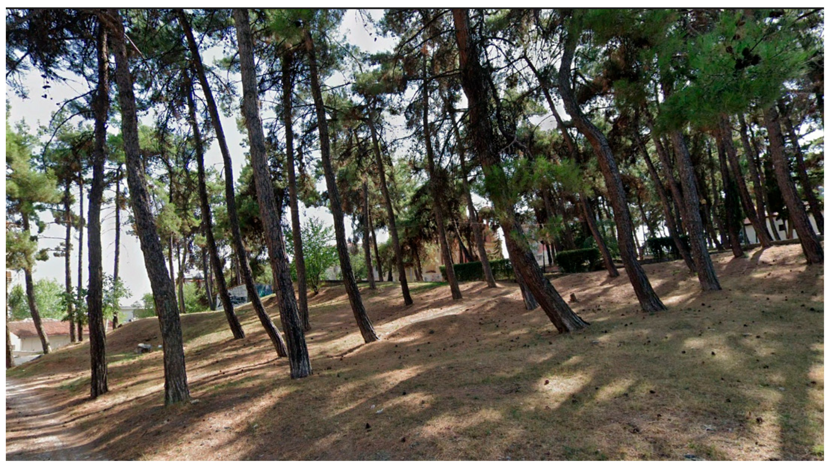 Sustainability 17 10482 g004