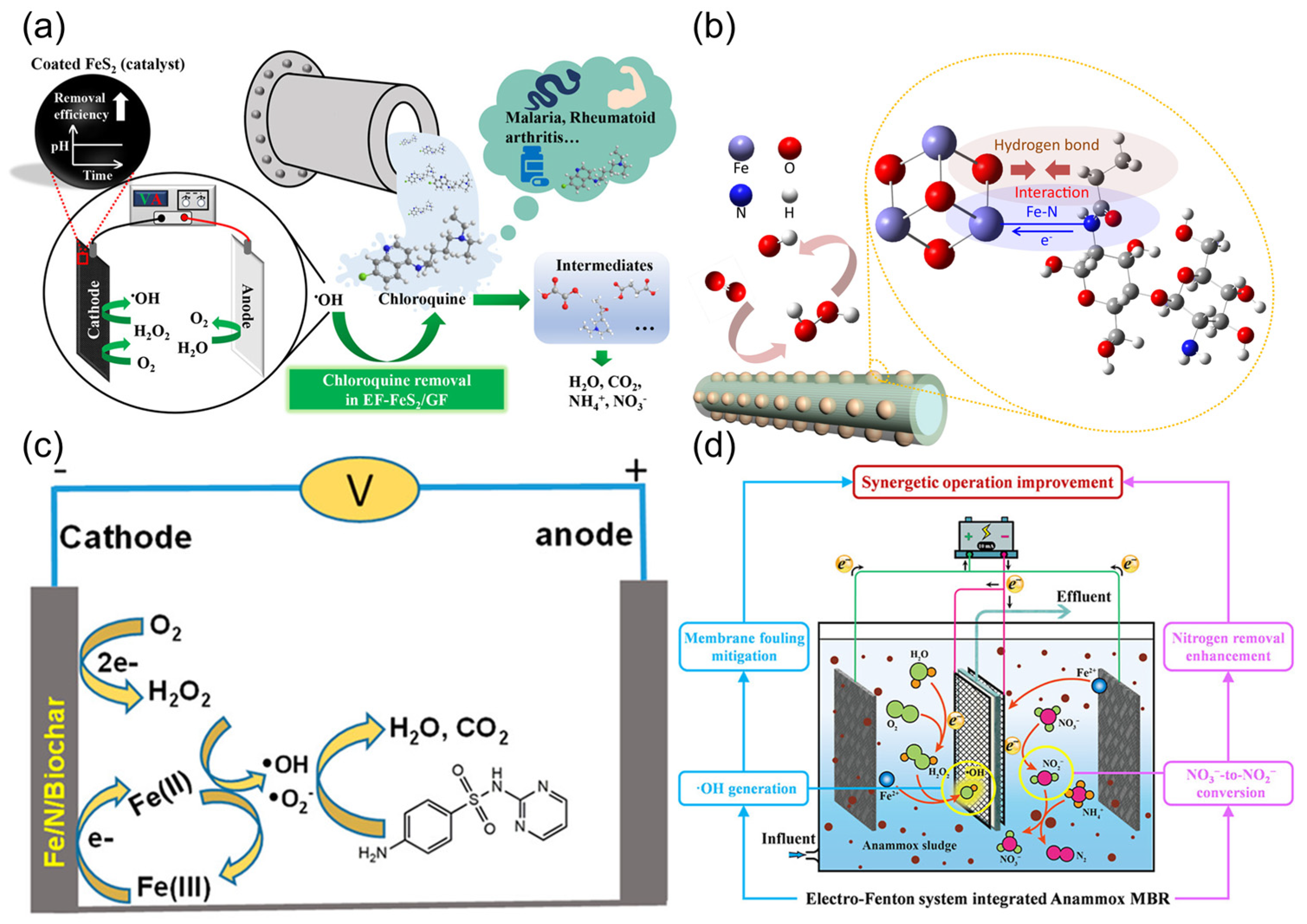 Sustainability 17 10501 g003