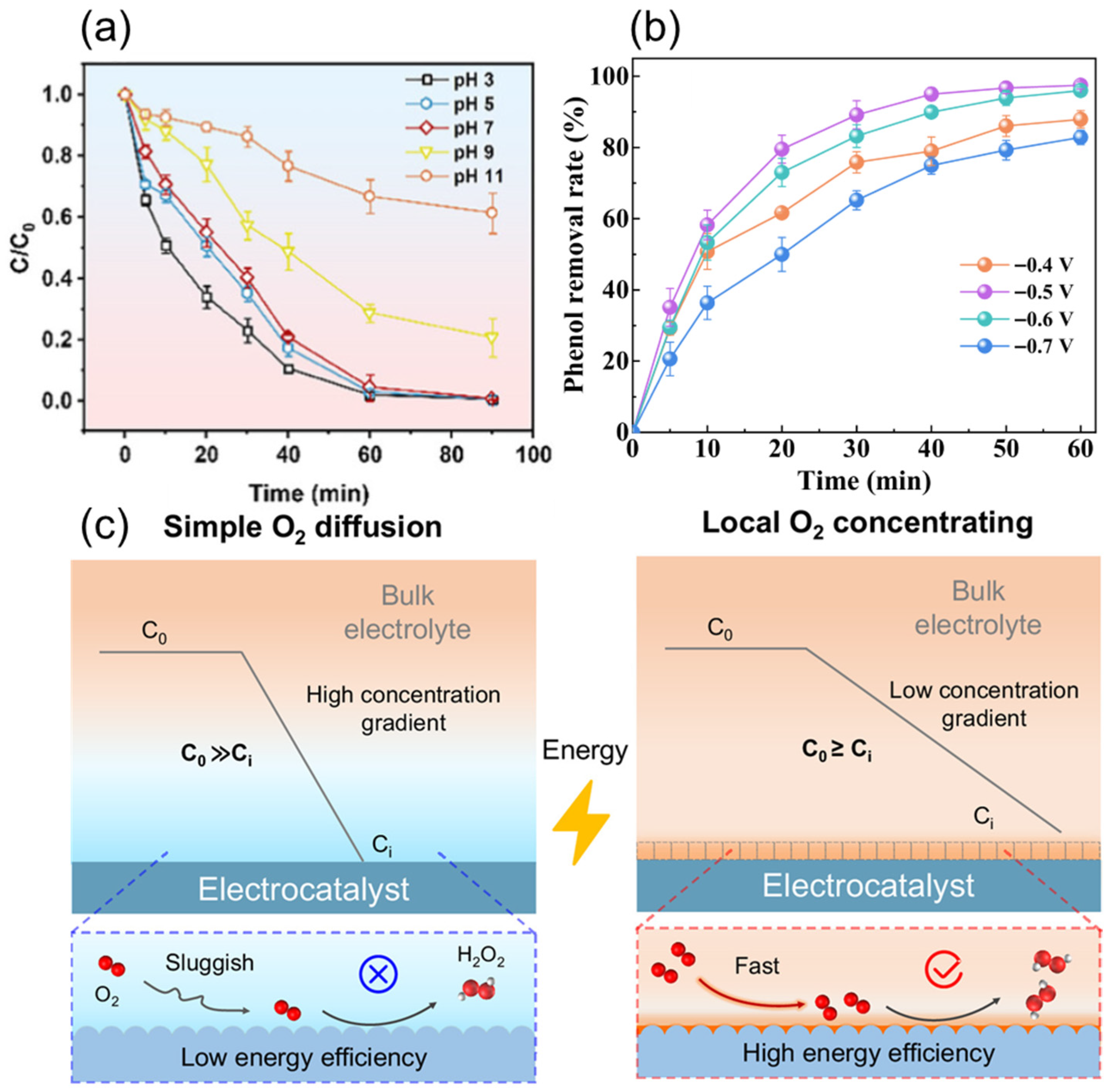 Sustainability 17 10501 g005