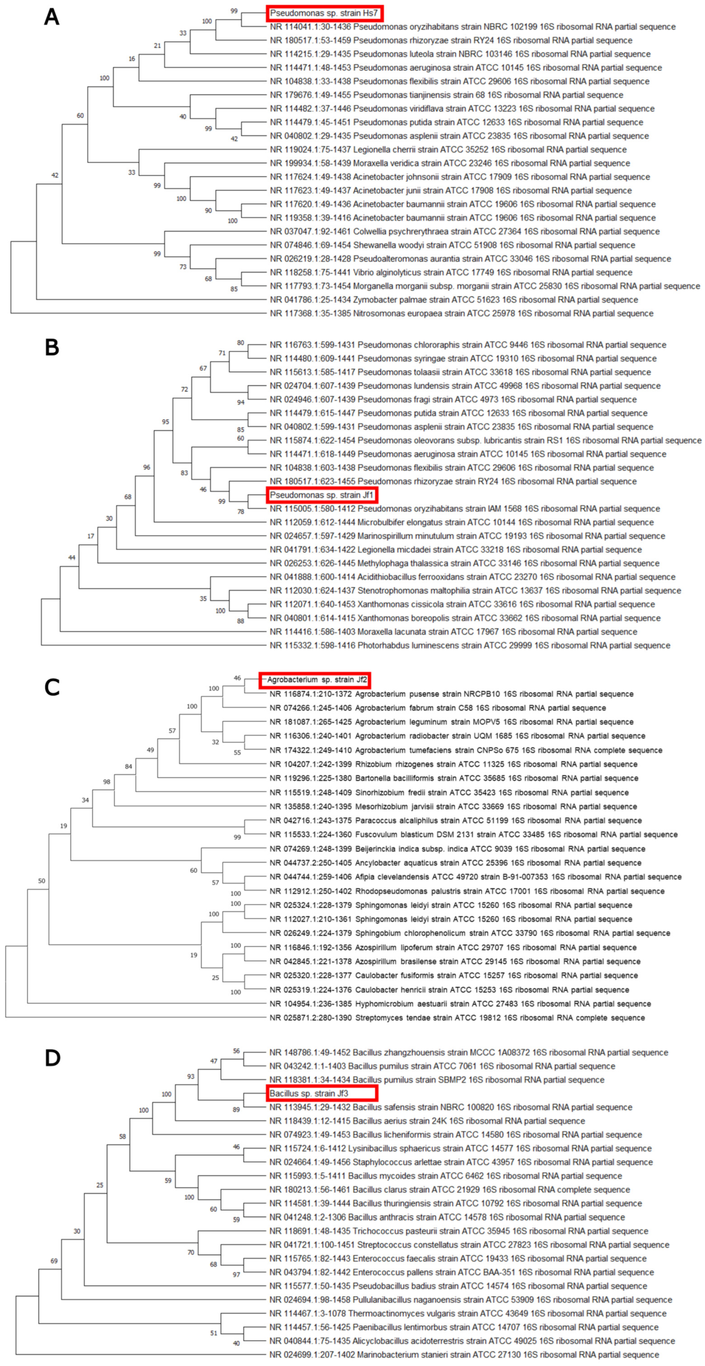 Sustainability 17 10549 g003 Sustainability 17 10549 g003
