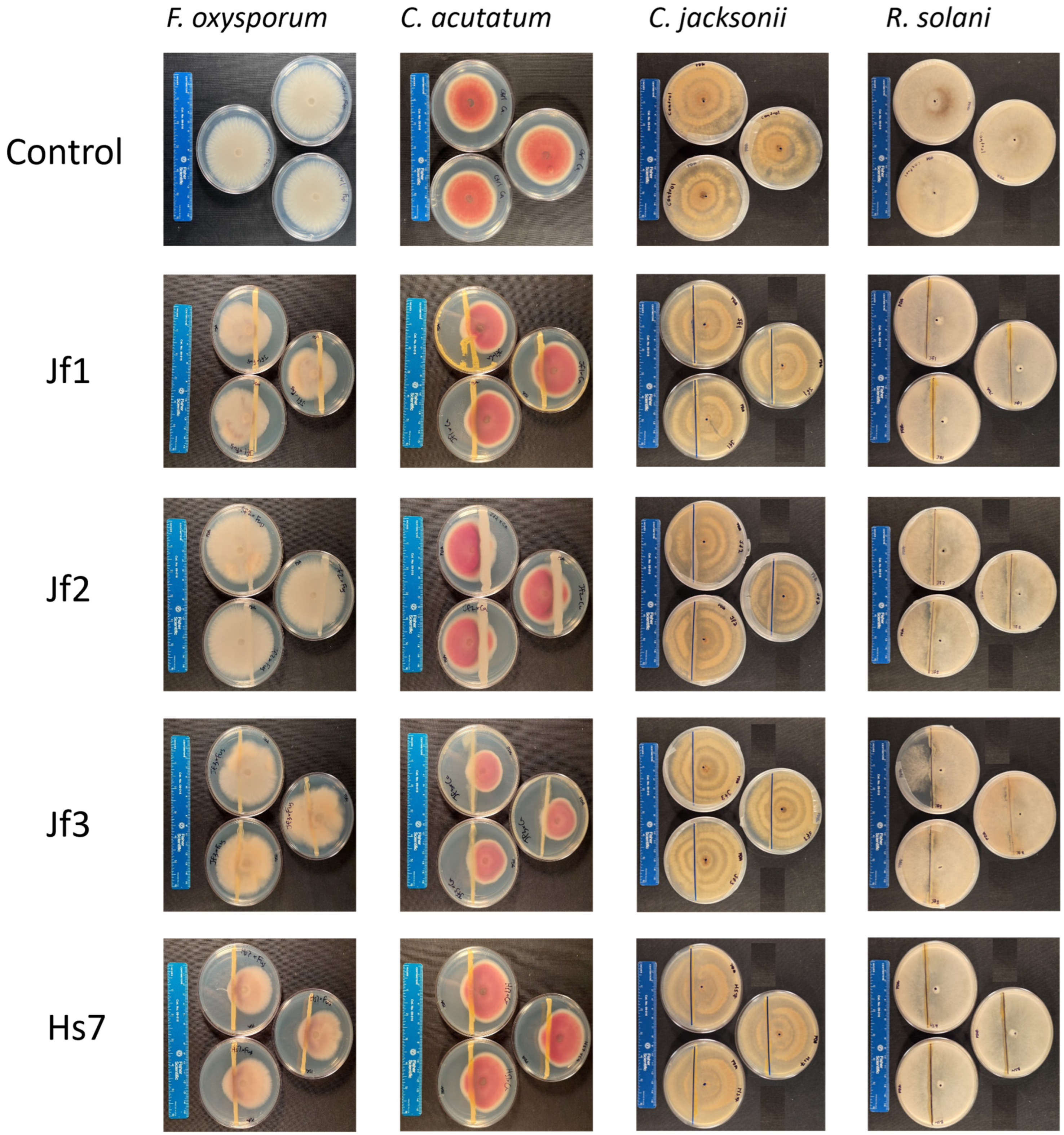 Sustainability 17 10549 g0a3 Sustainability 17 10549 g0a3