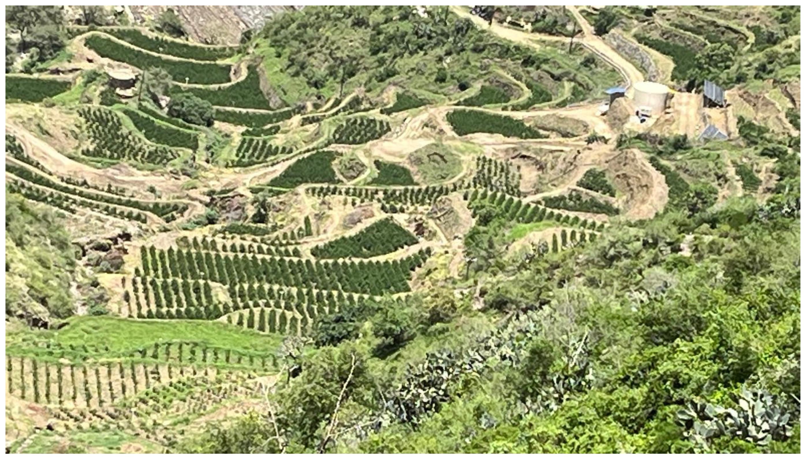 Sustainability 17 10550 g002